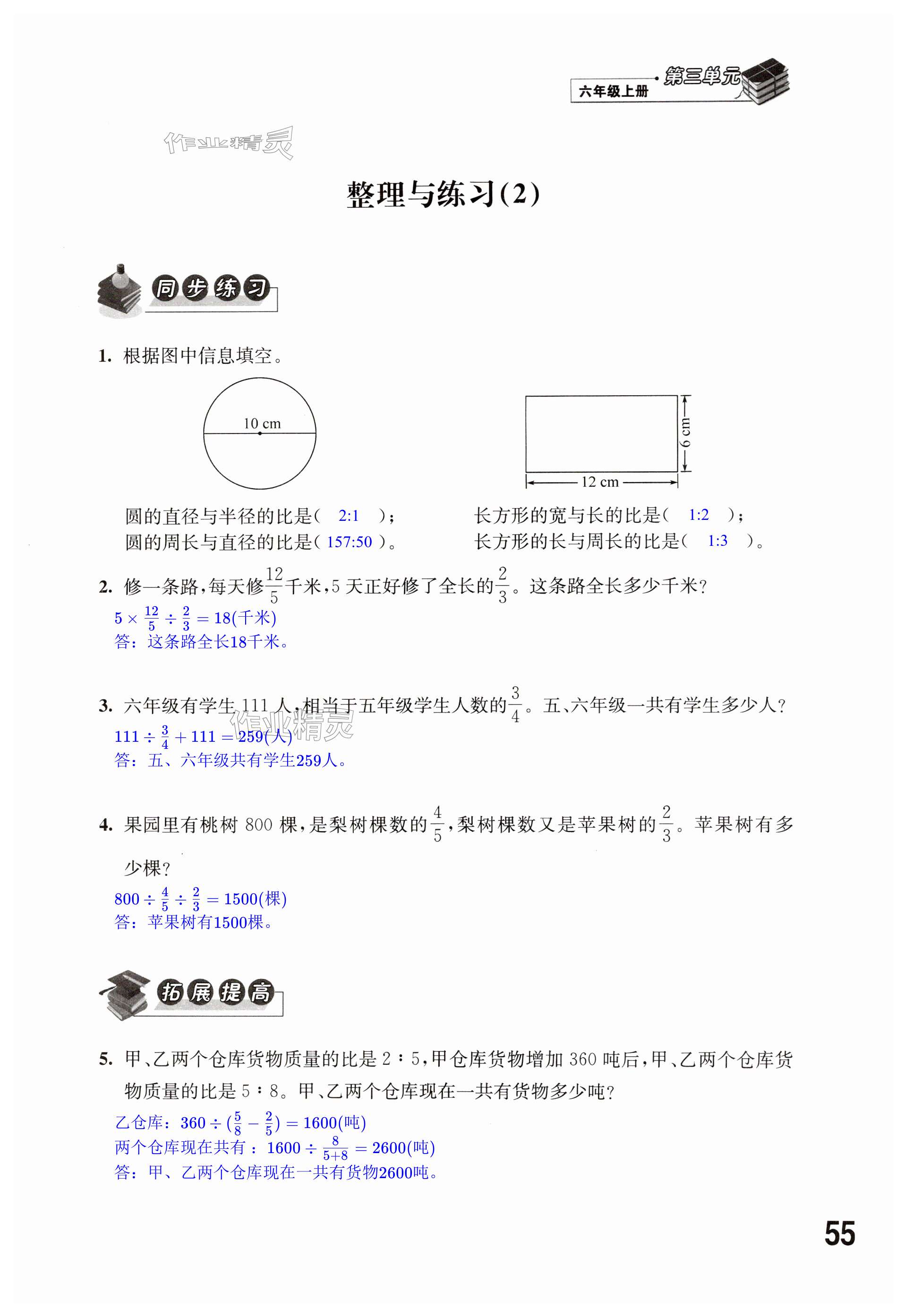 第55页