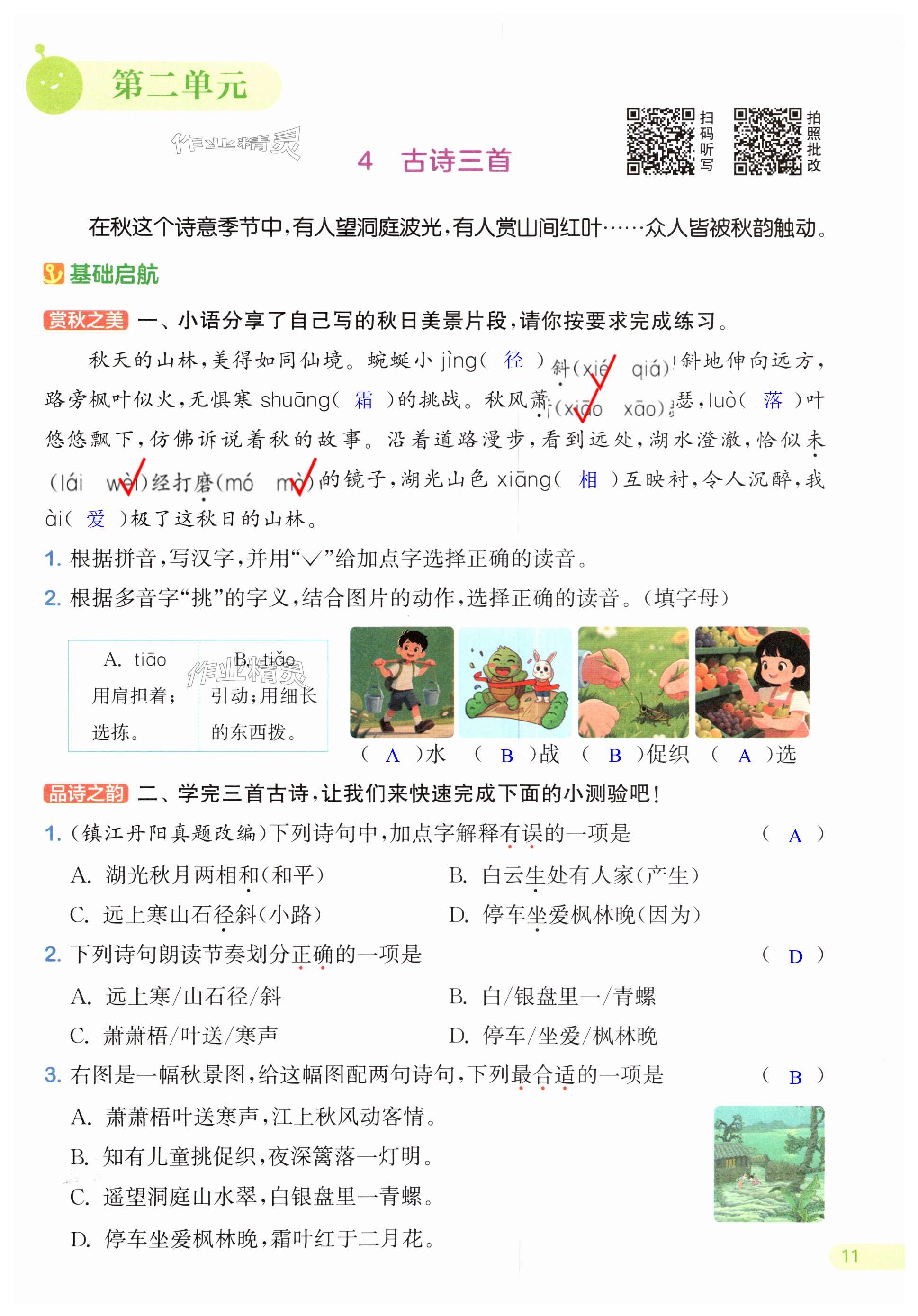 第11页
