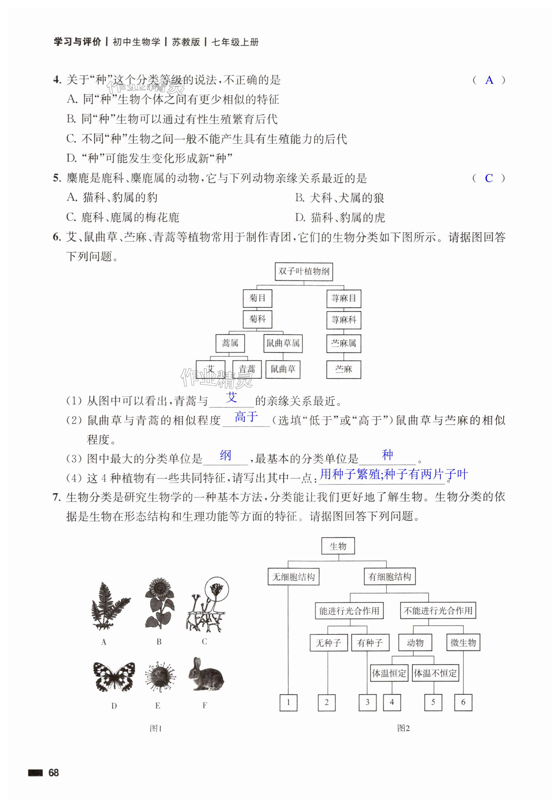 第68页