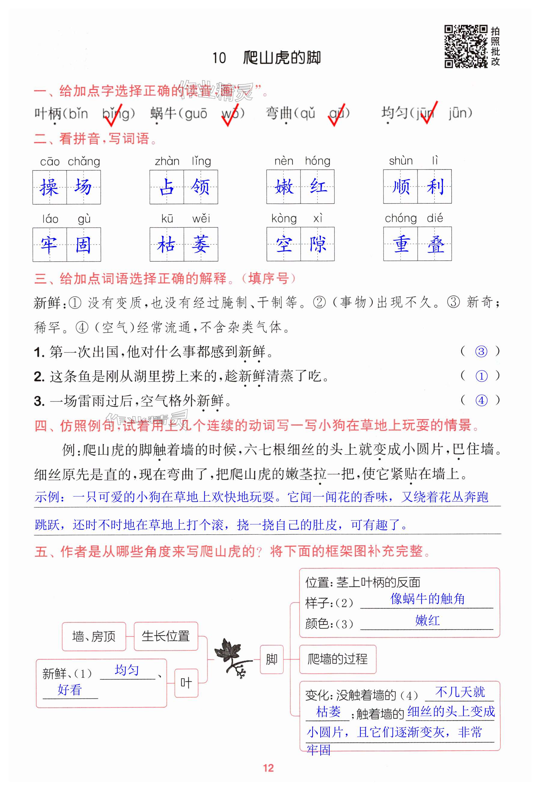 第12页