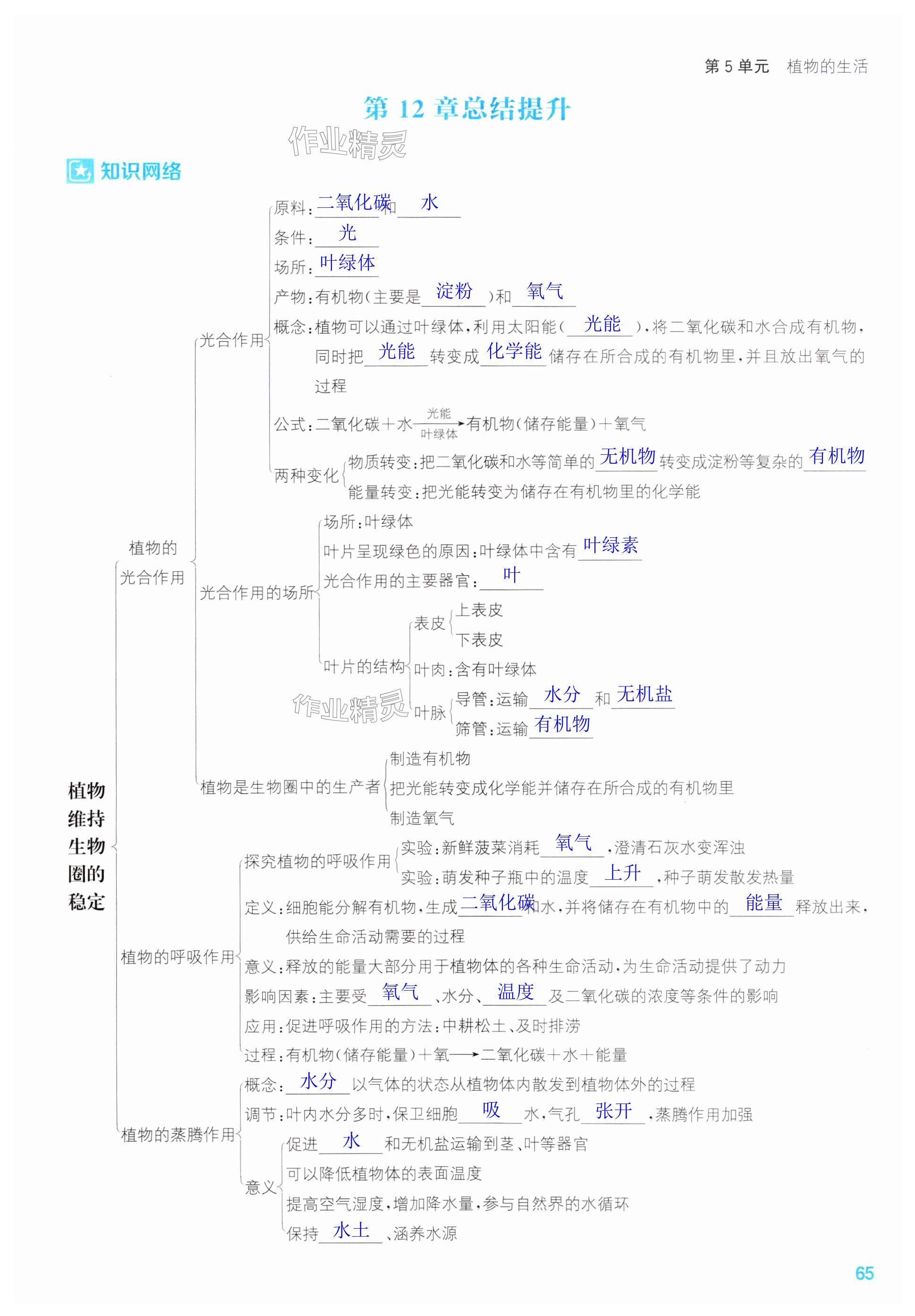 第65页