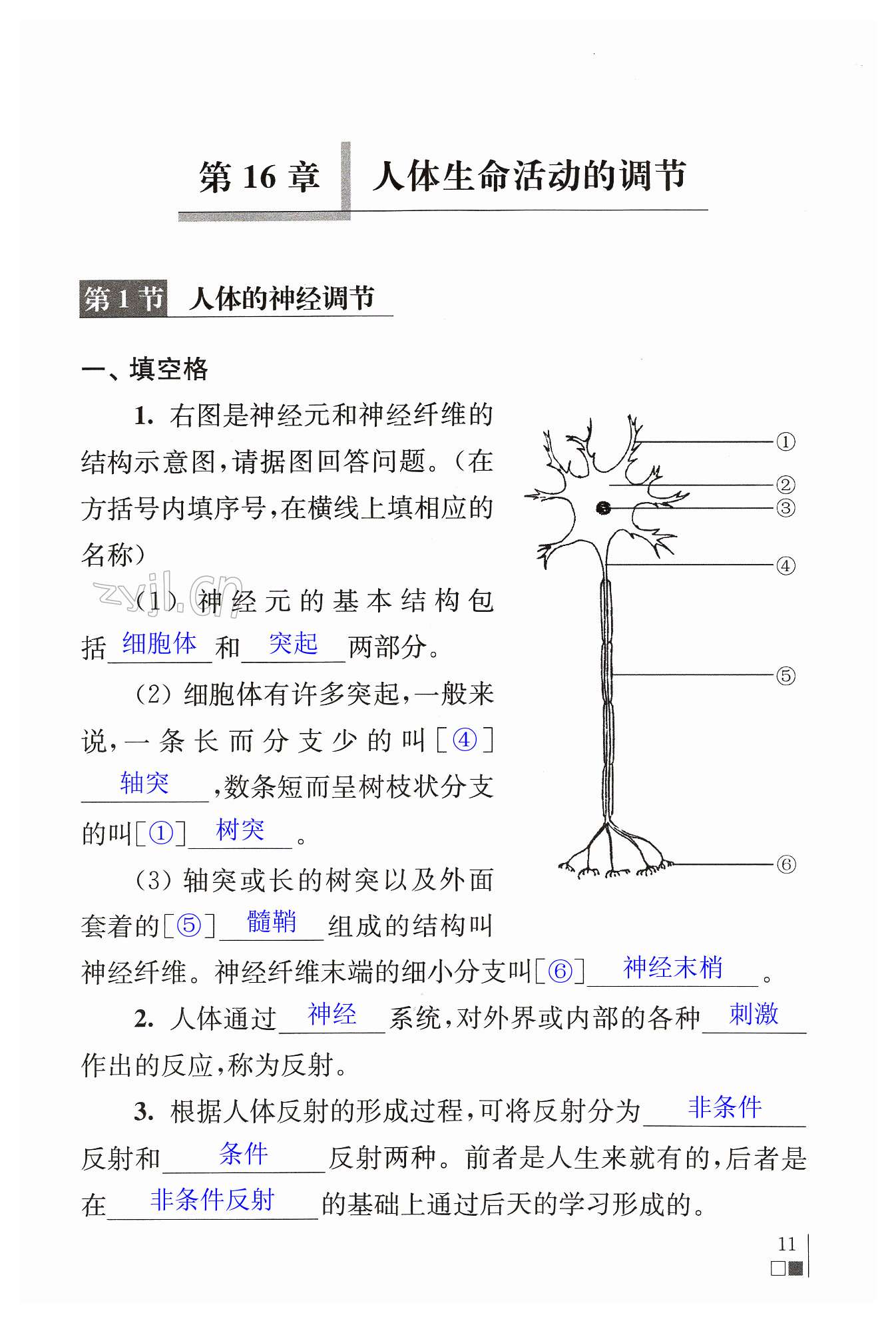 第11页