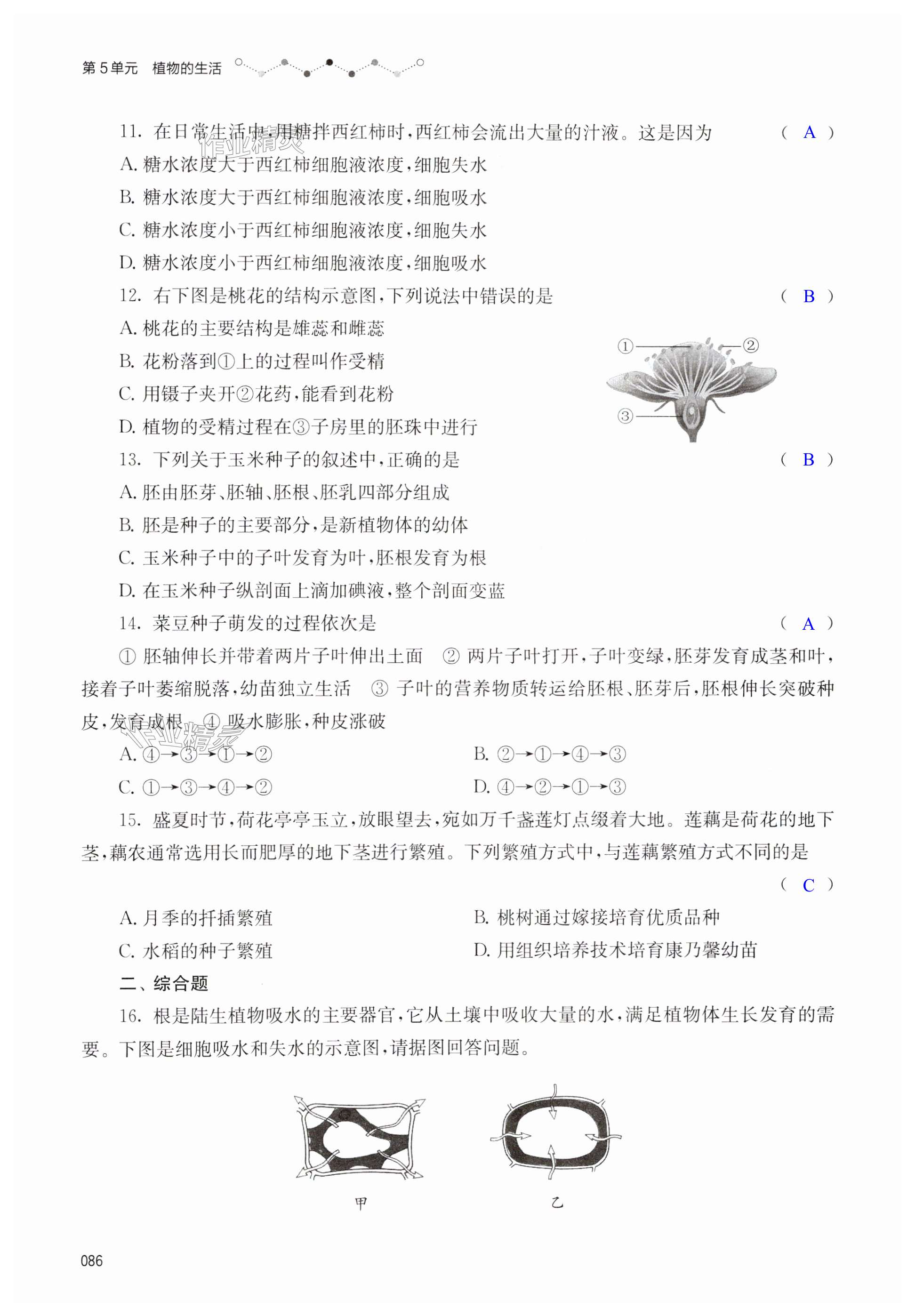 第86页