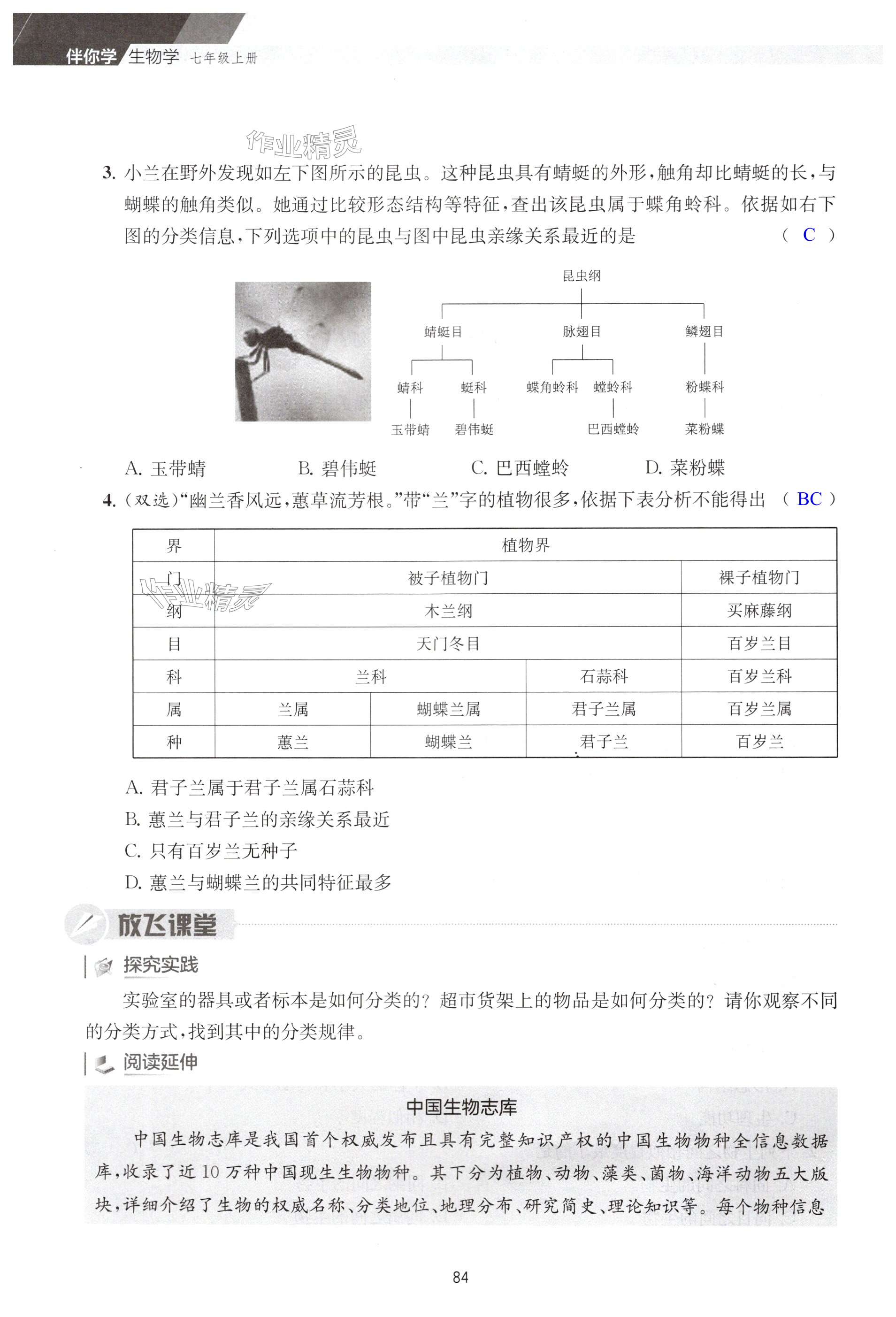 第84页