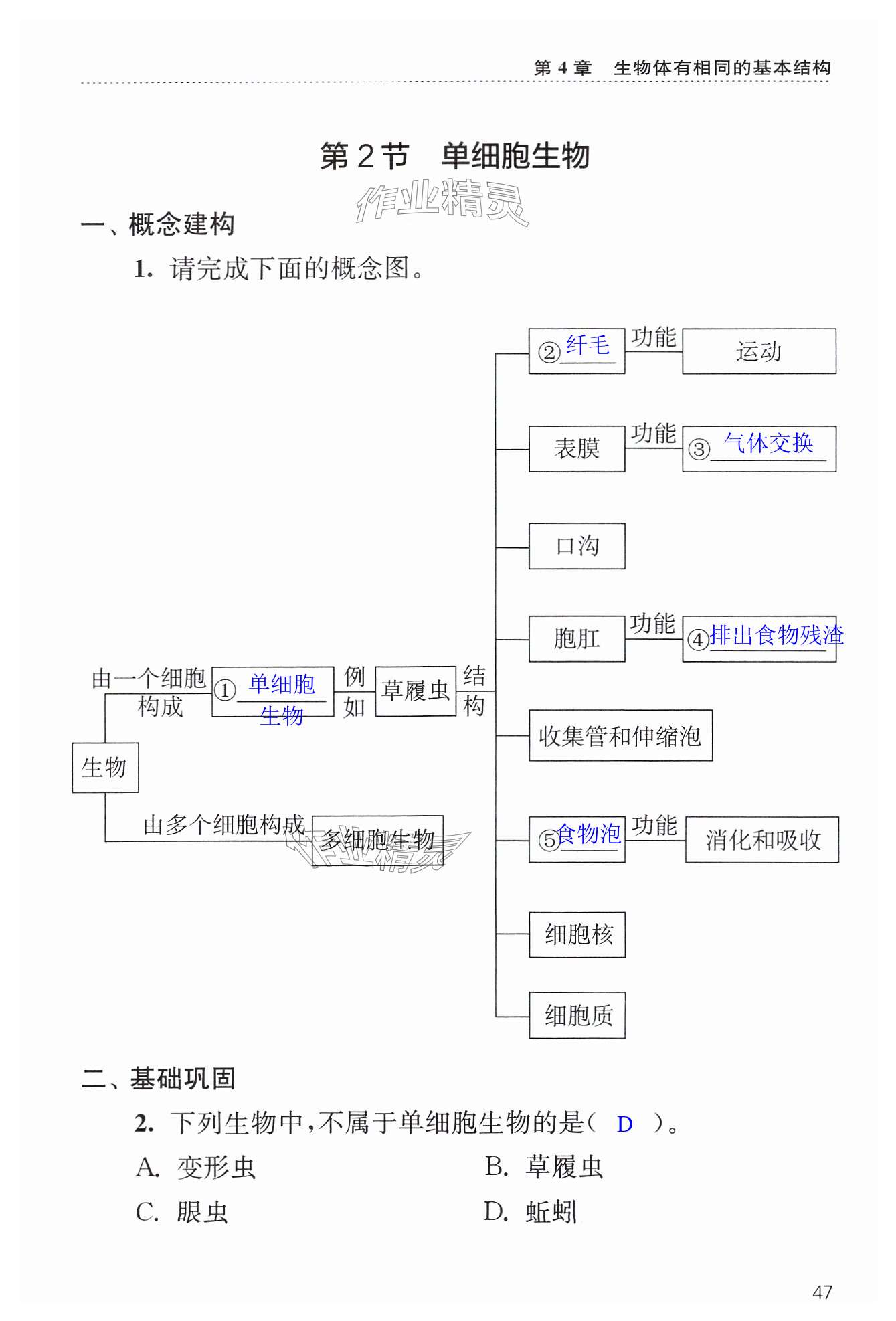 第47页