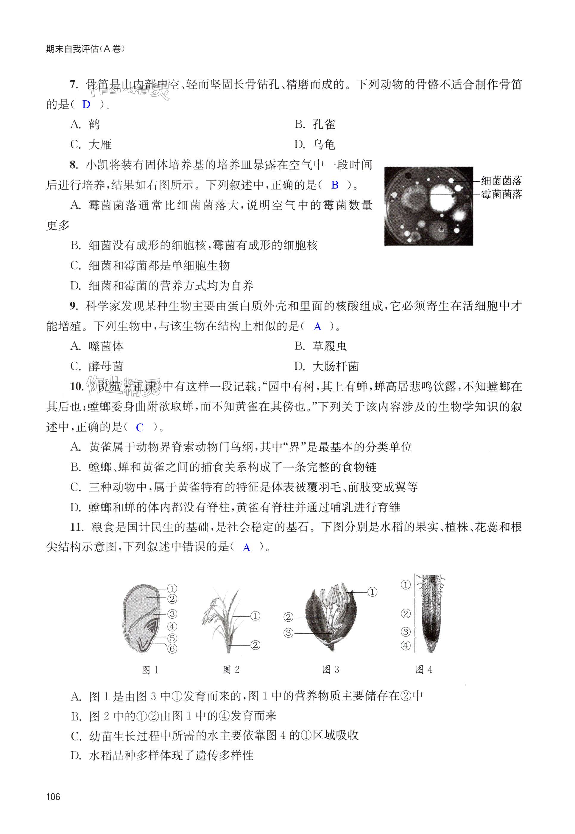 第106页