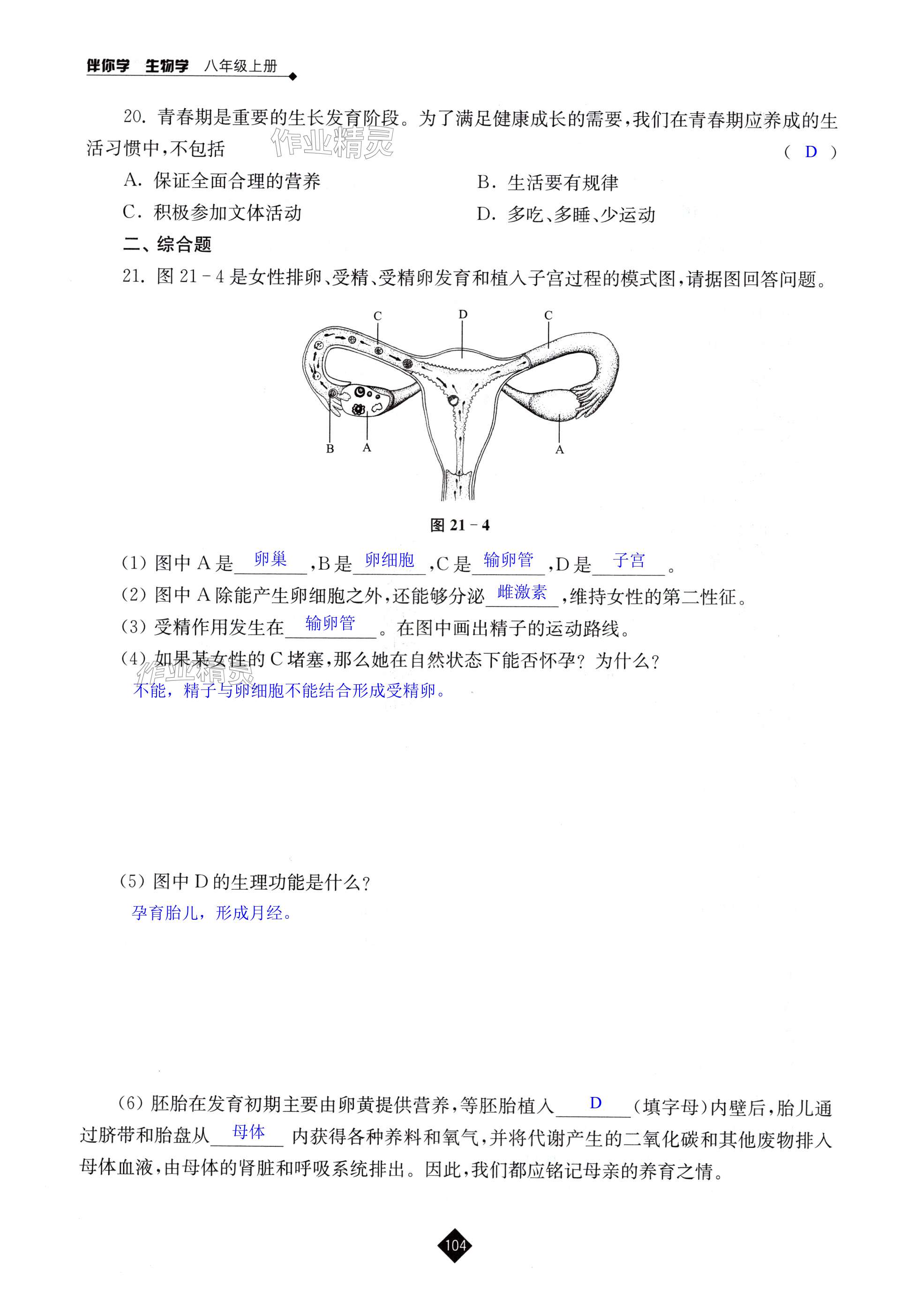 第104页