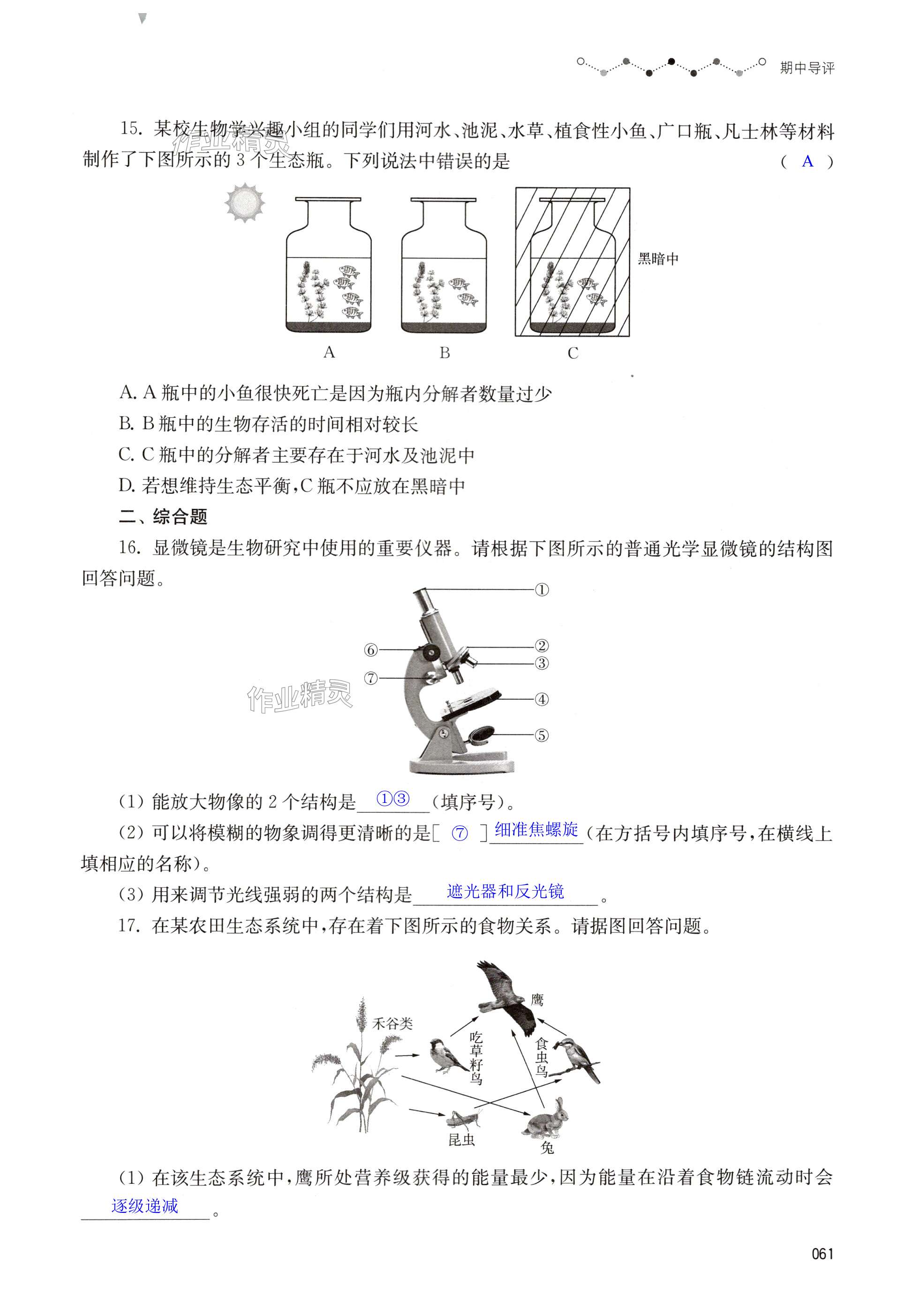 第61页