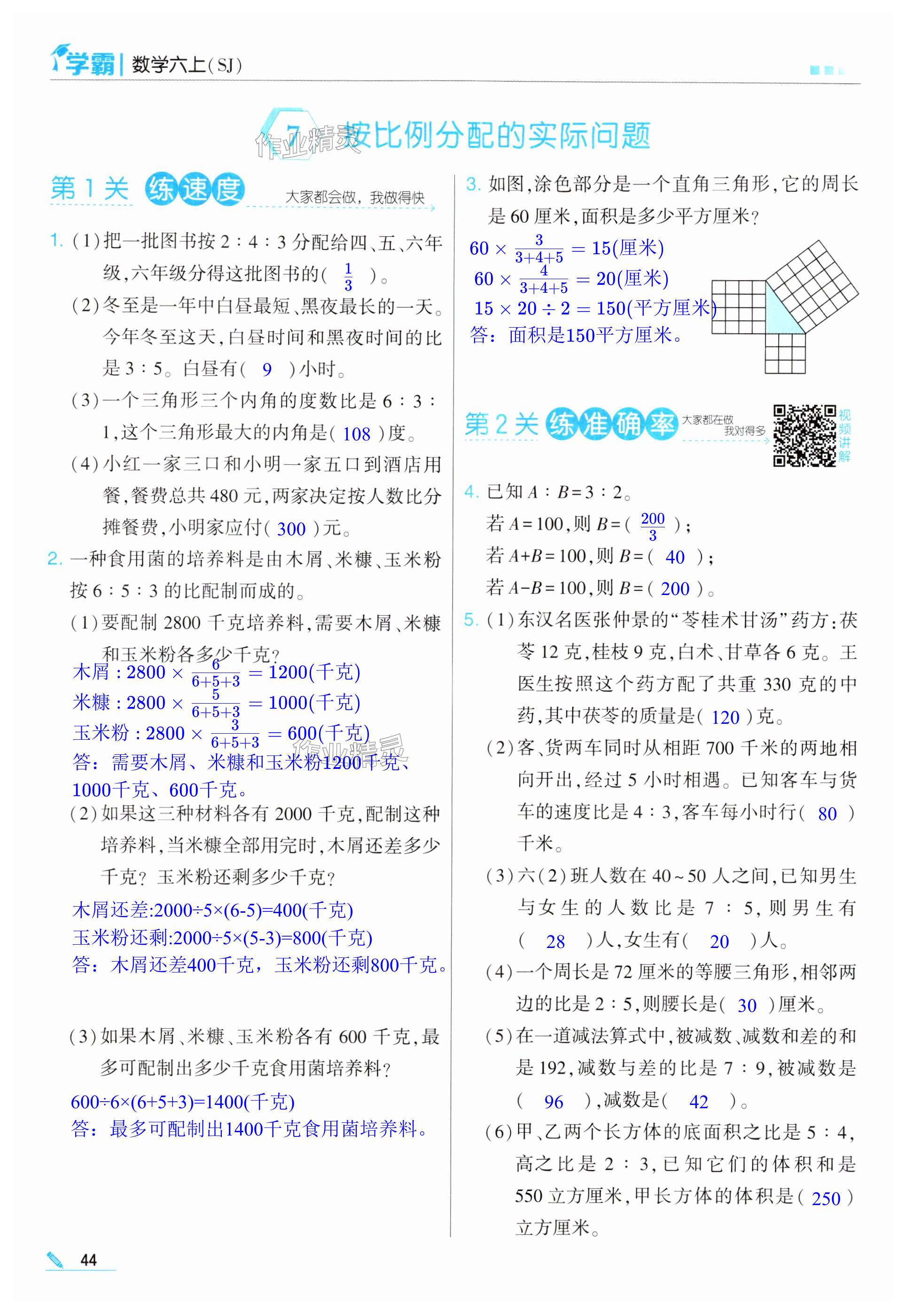 第44页