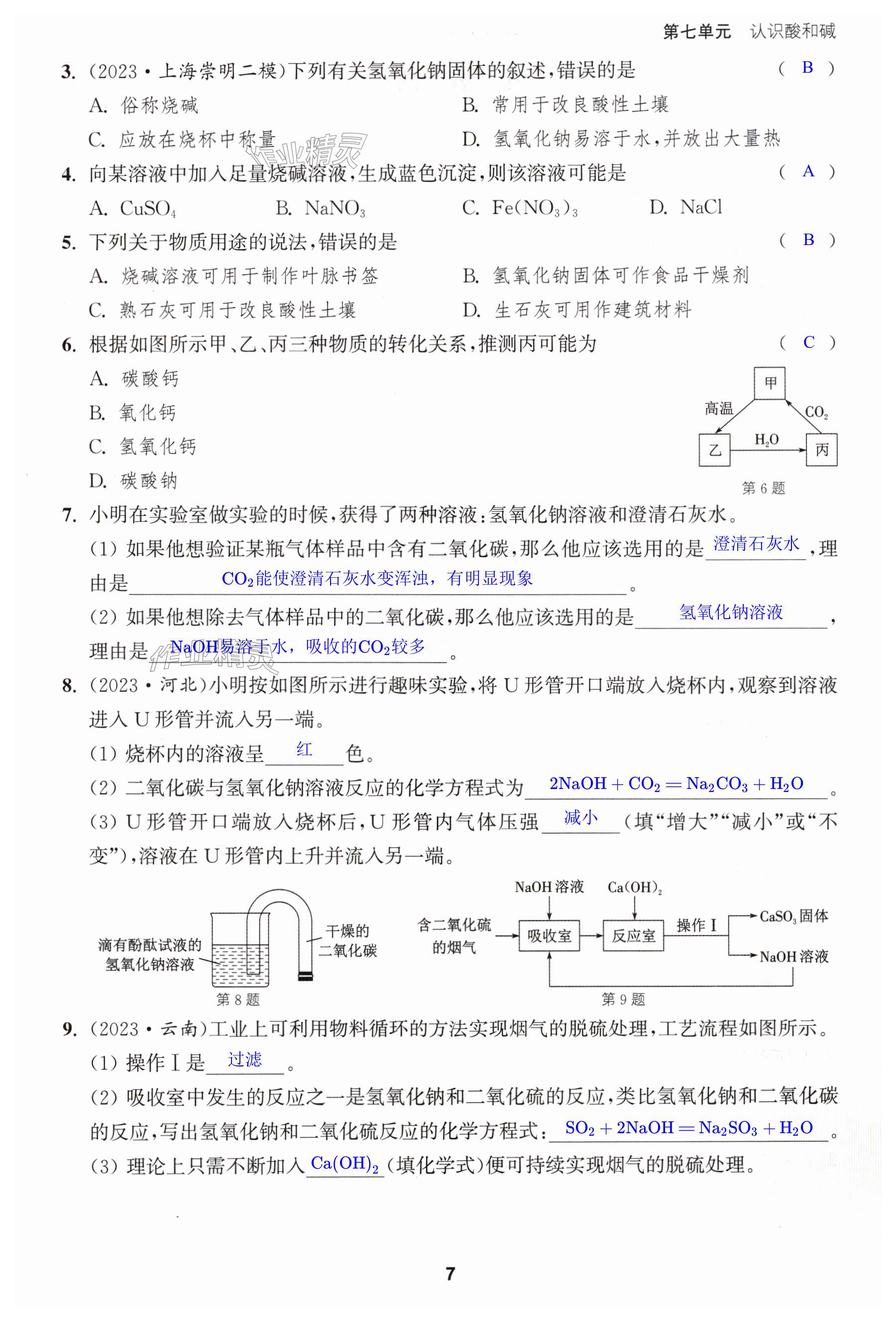 第7页