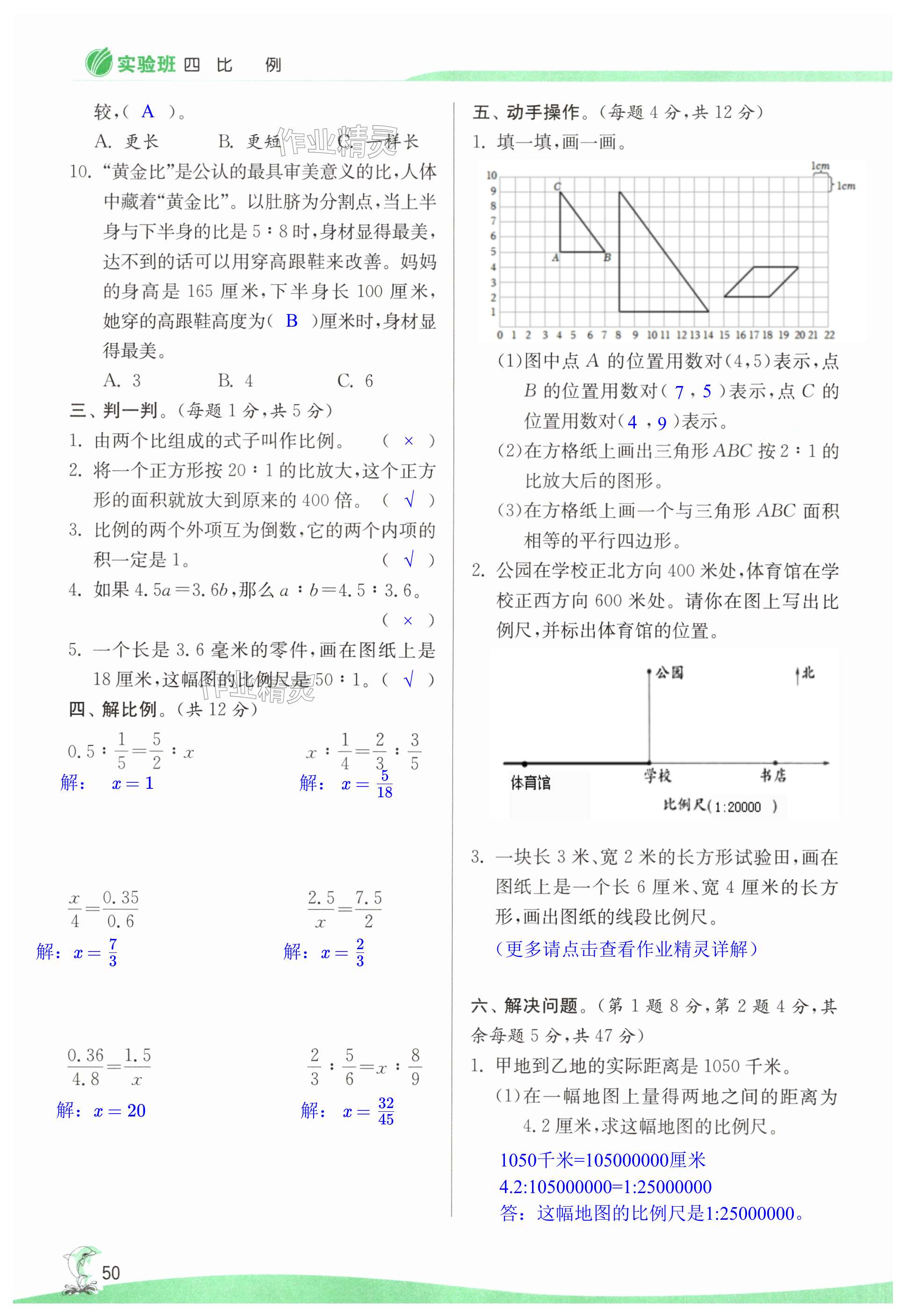 第50页