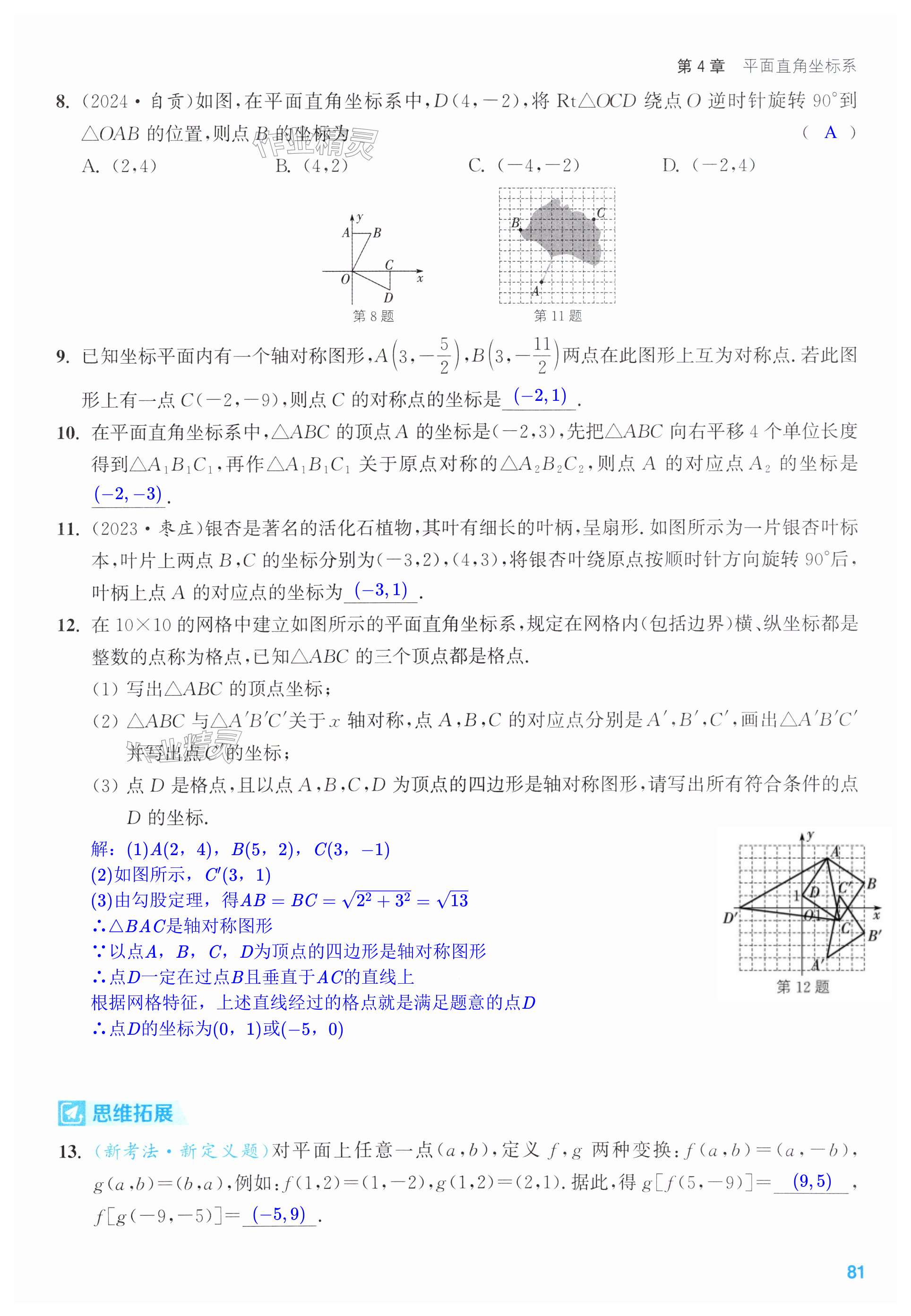 第81页