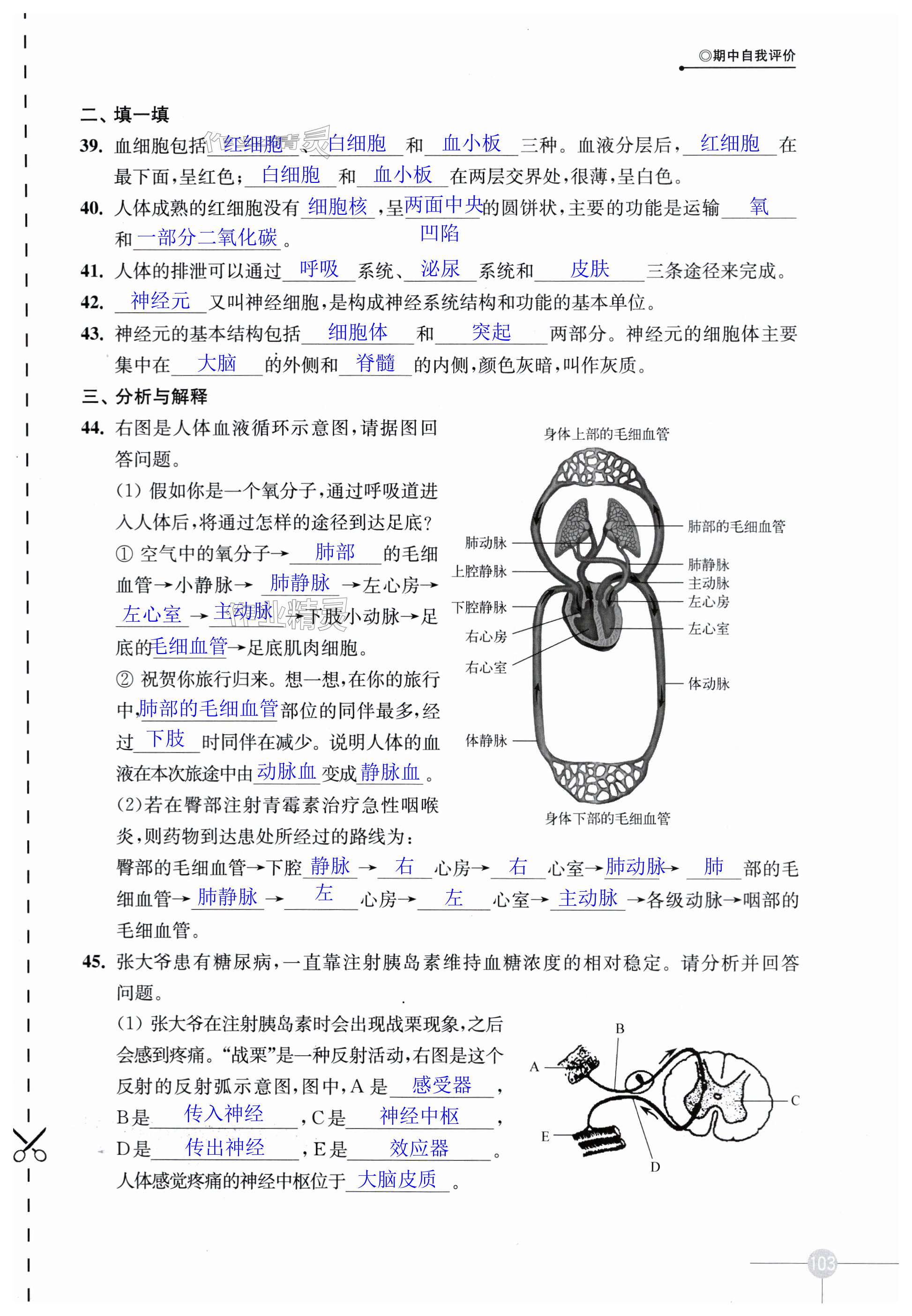 第103页