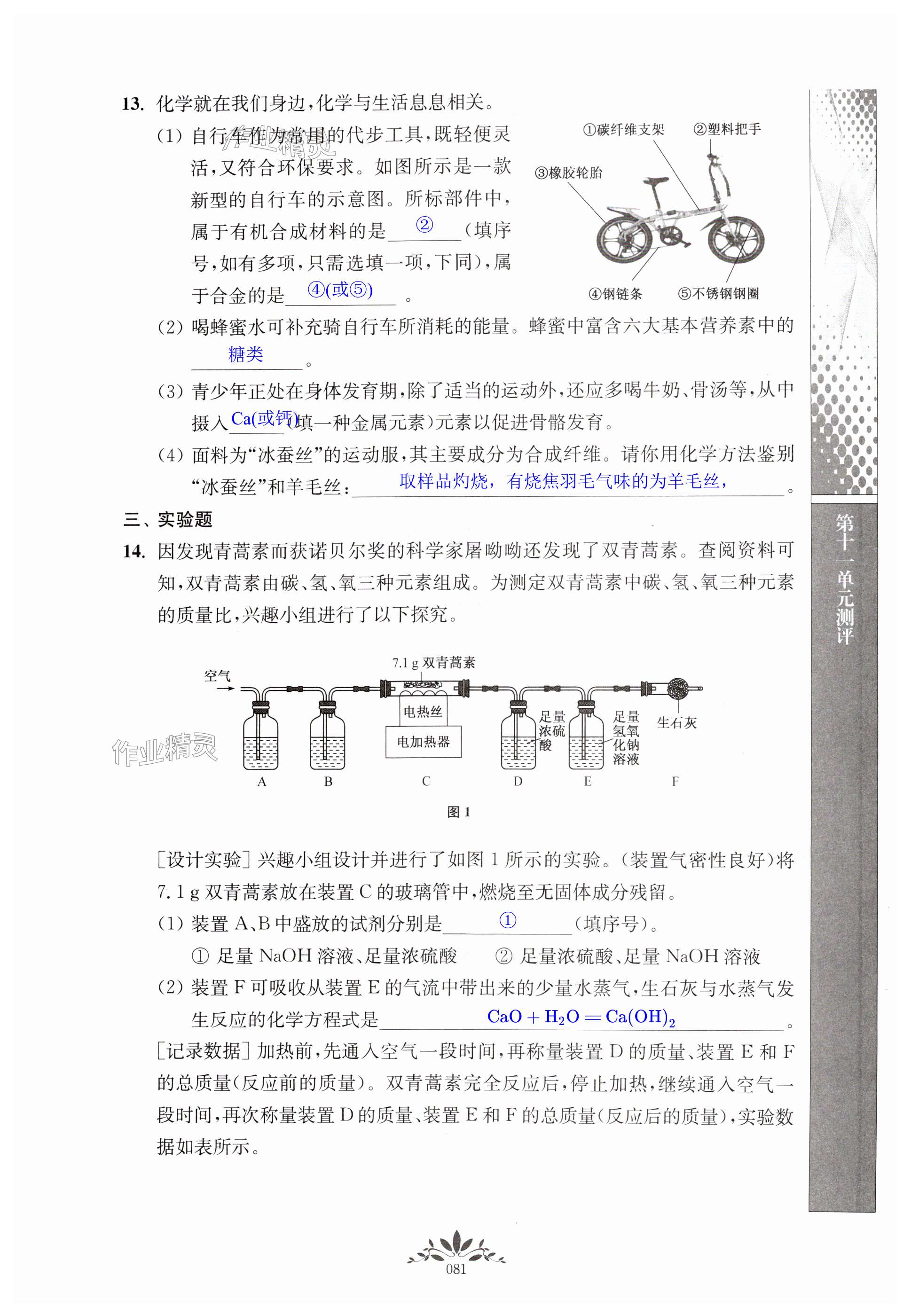 第81页