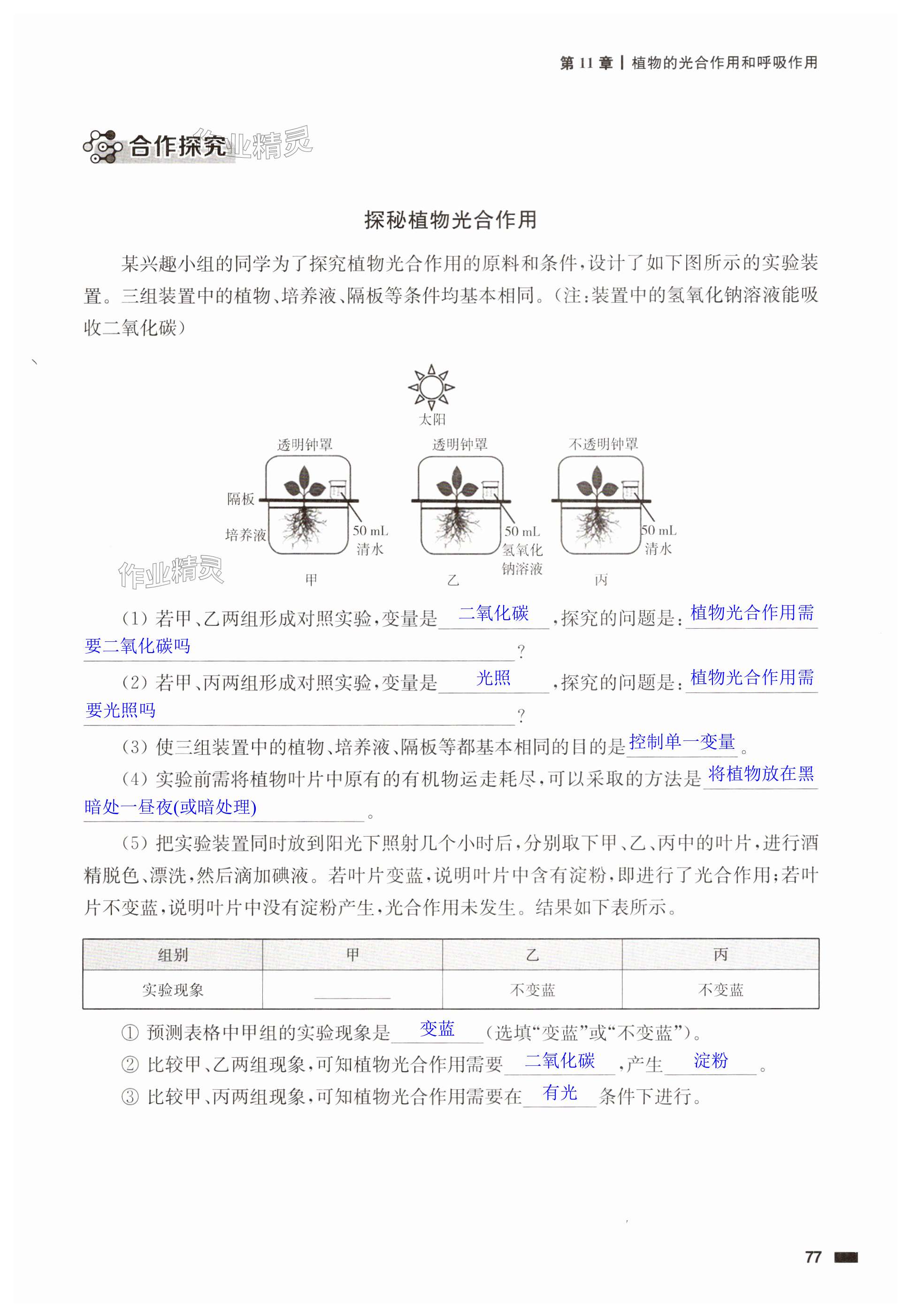 第77页