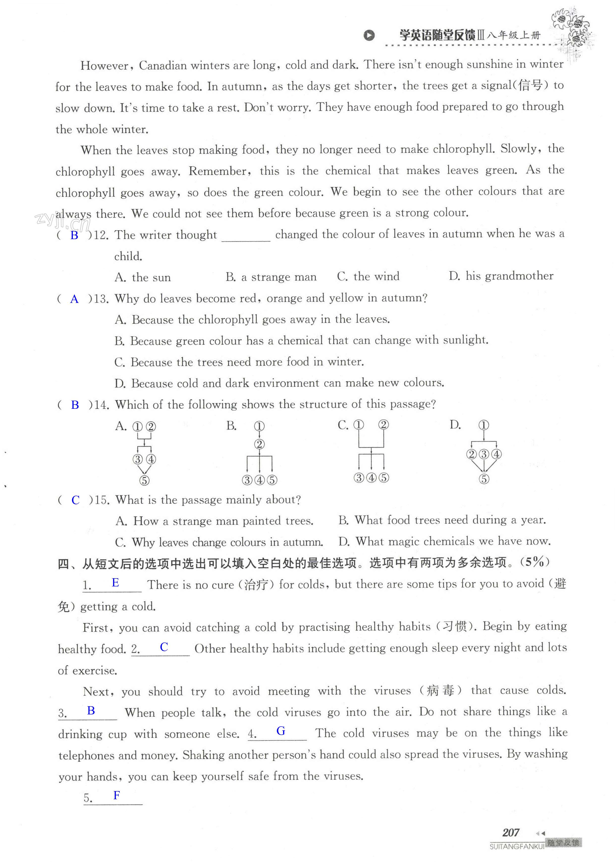 单元综合测试卷 Test for Unit 7 of 8A - 第207页