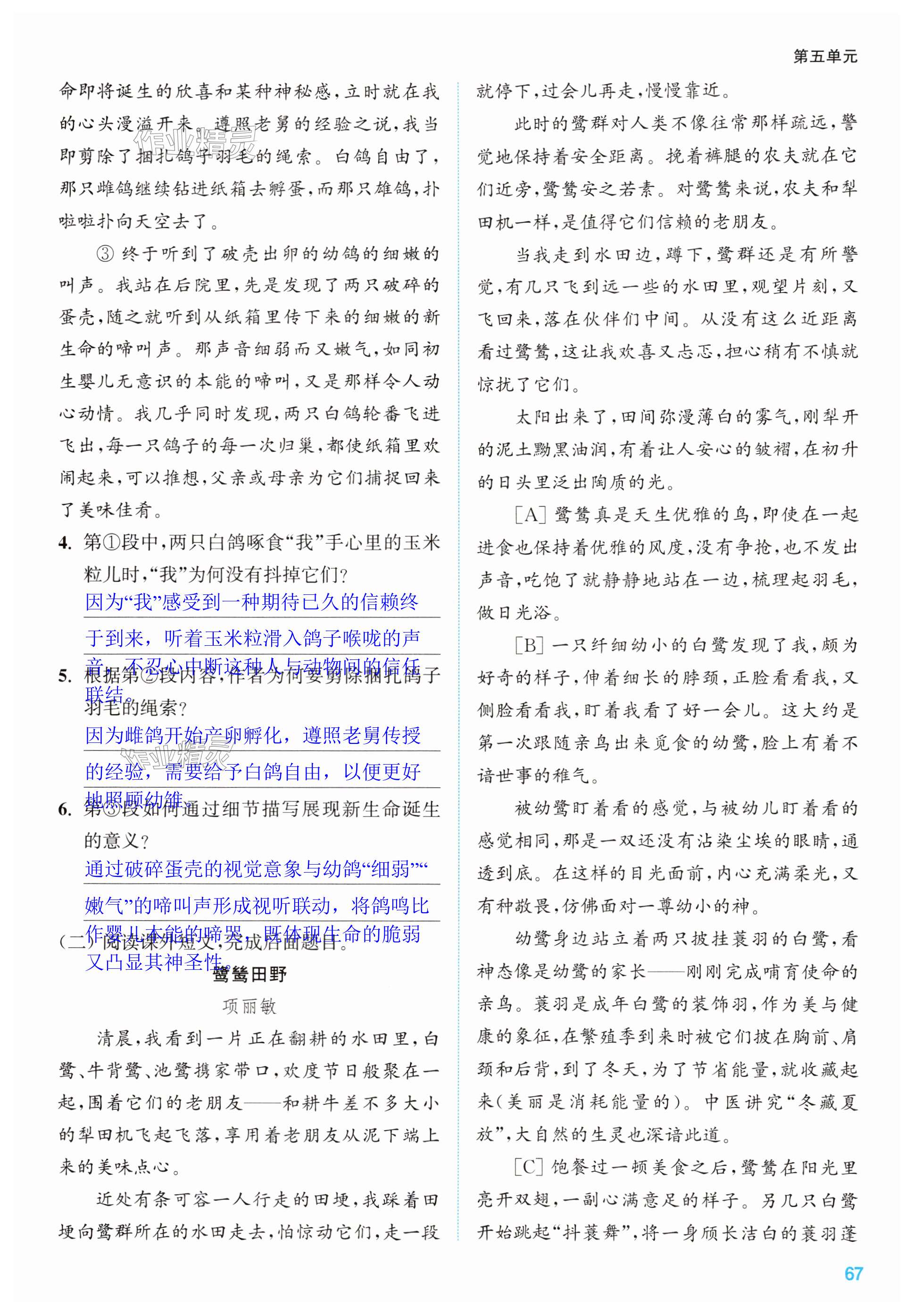 第67页