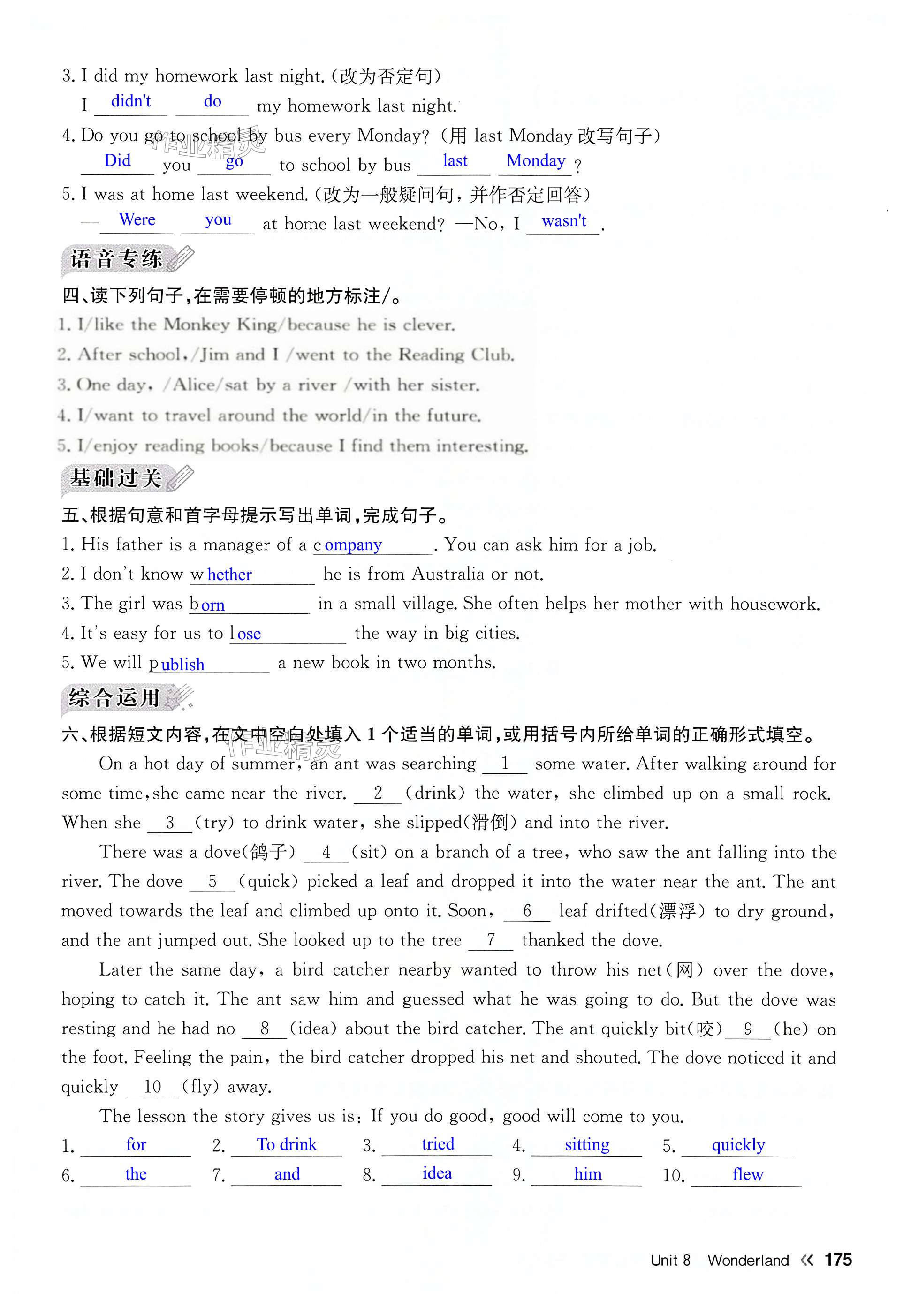 第175页