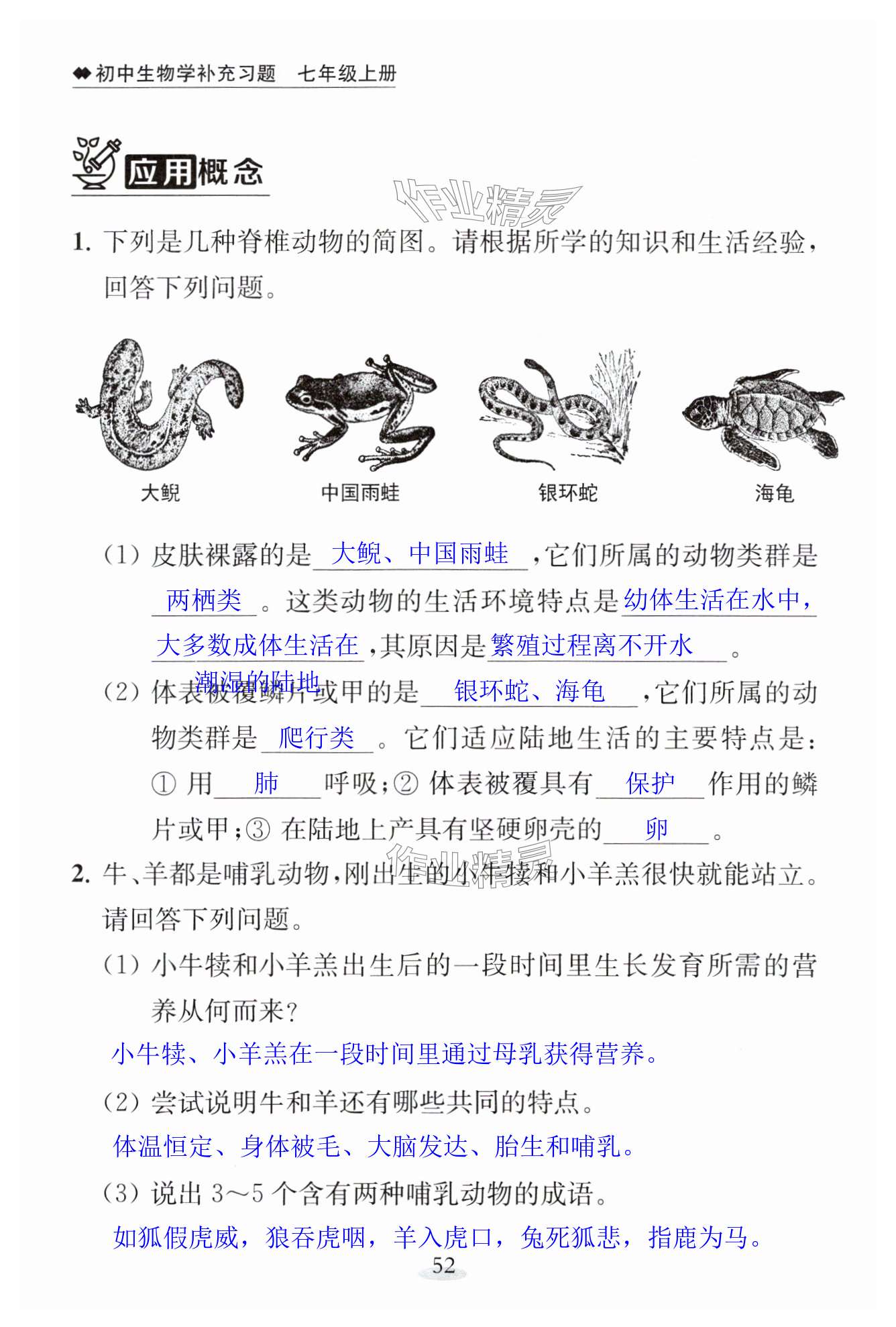 第52页