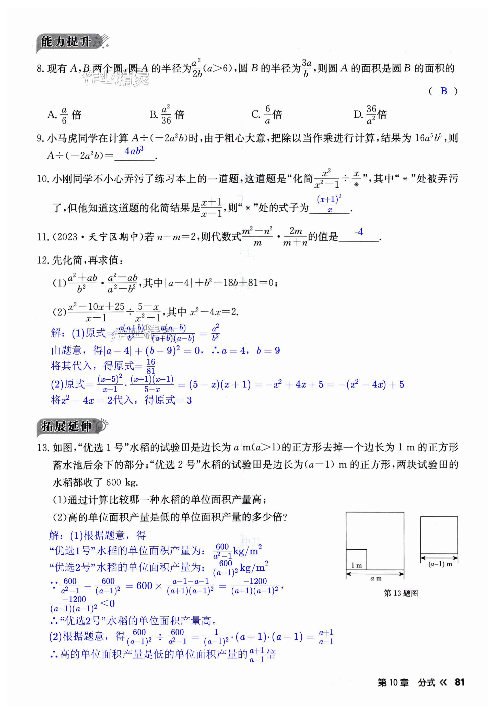 第81页