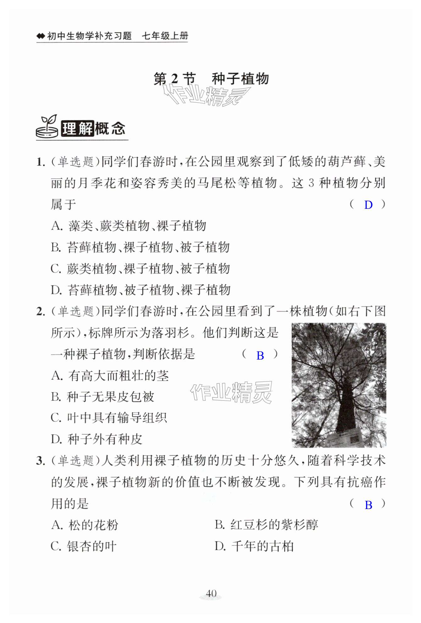 第40页