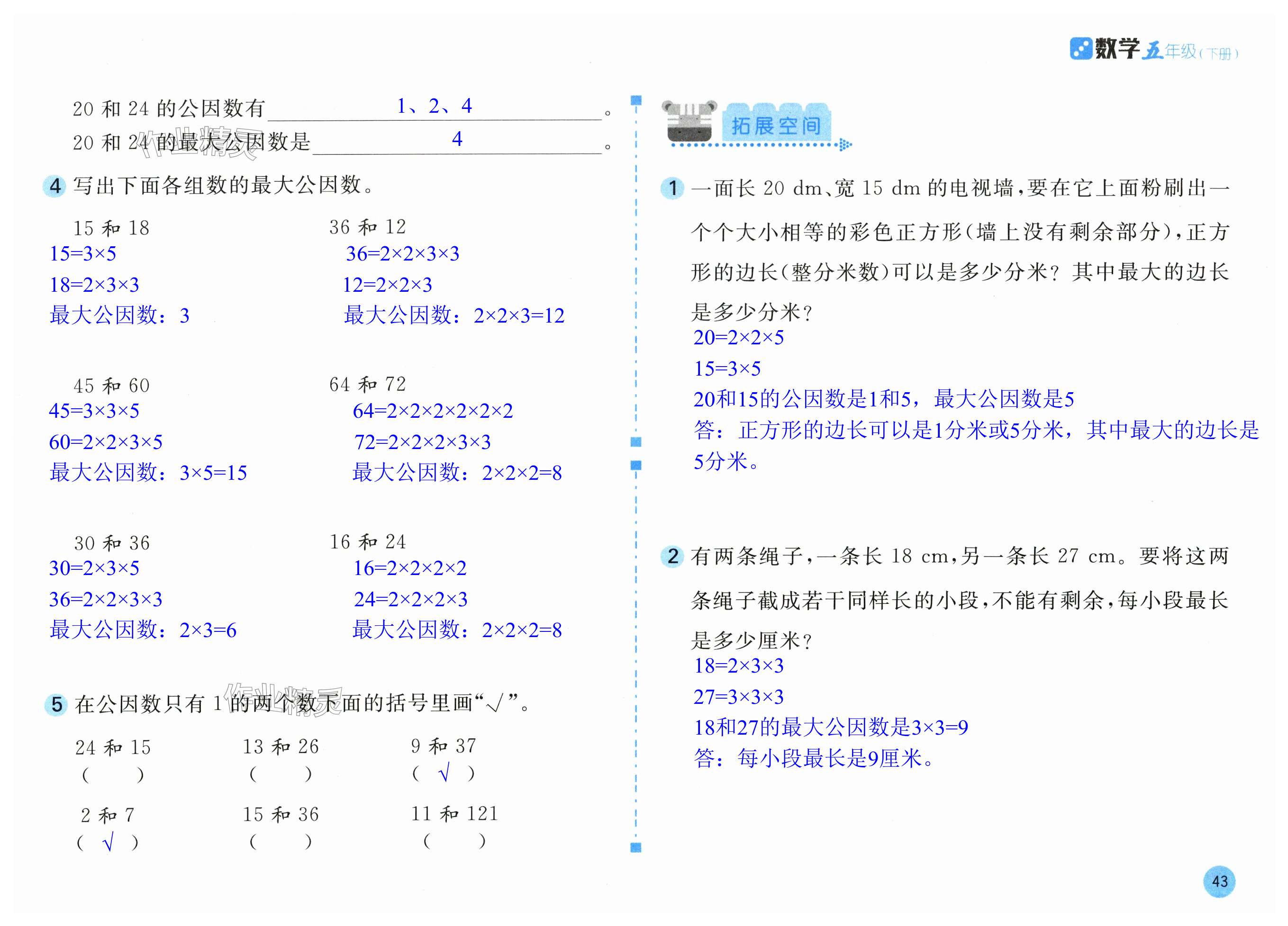 第43页