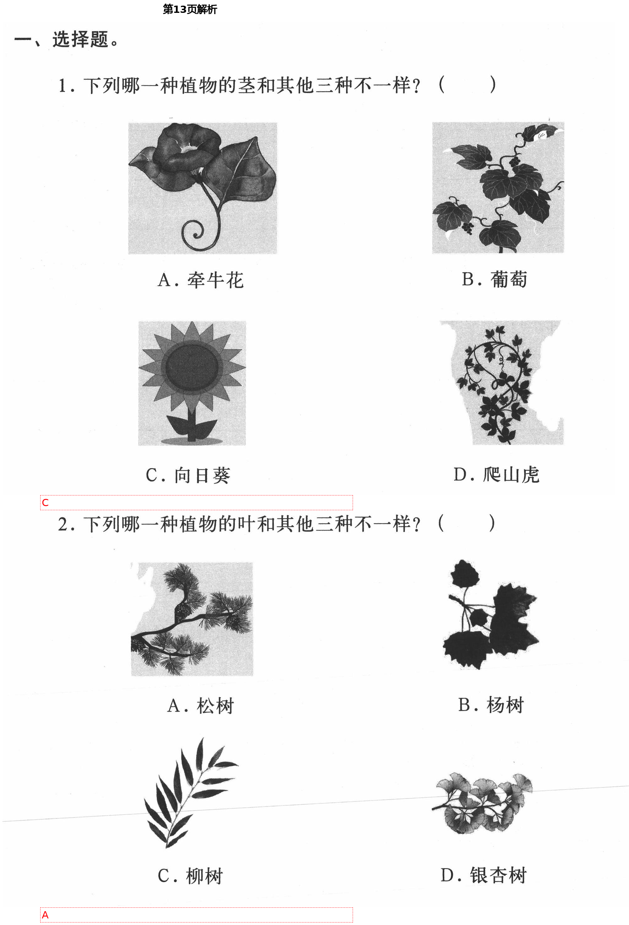 2021年新思維伴你學單元達標測試卷四年級科學下冊教科版 第13頁