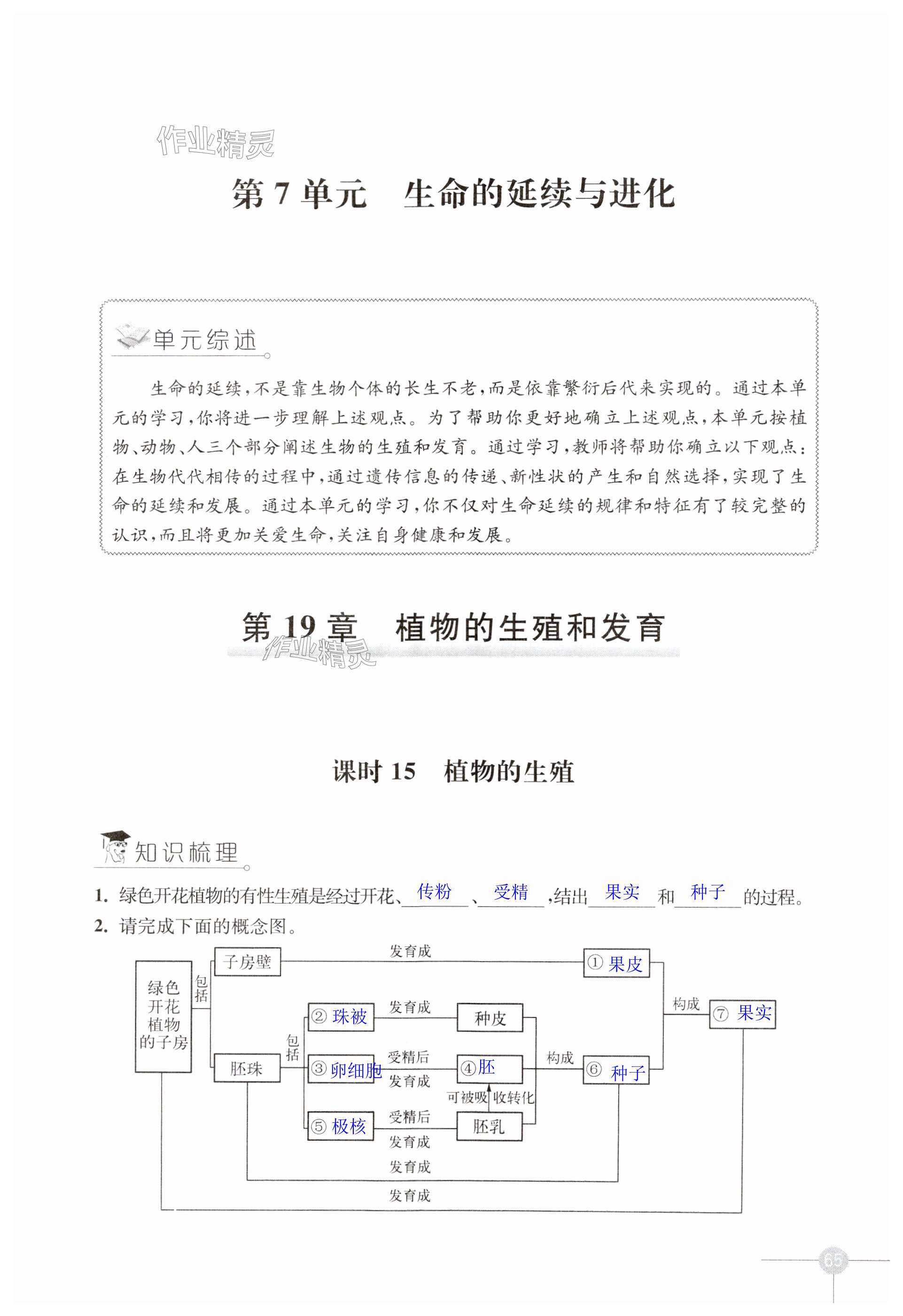 第65页