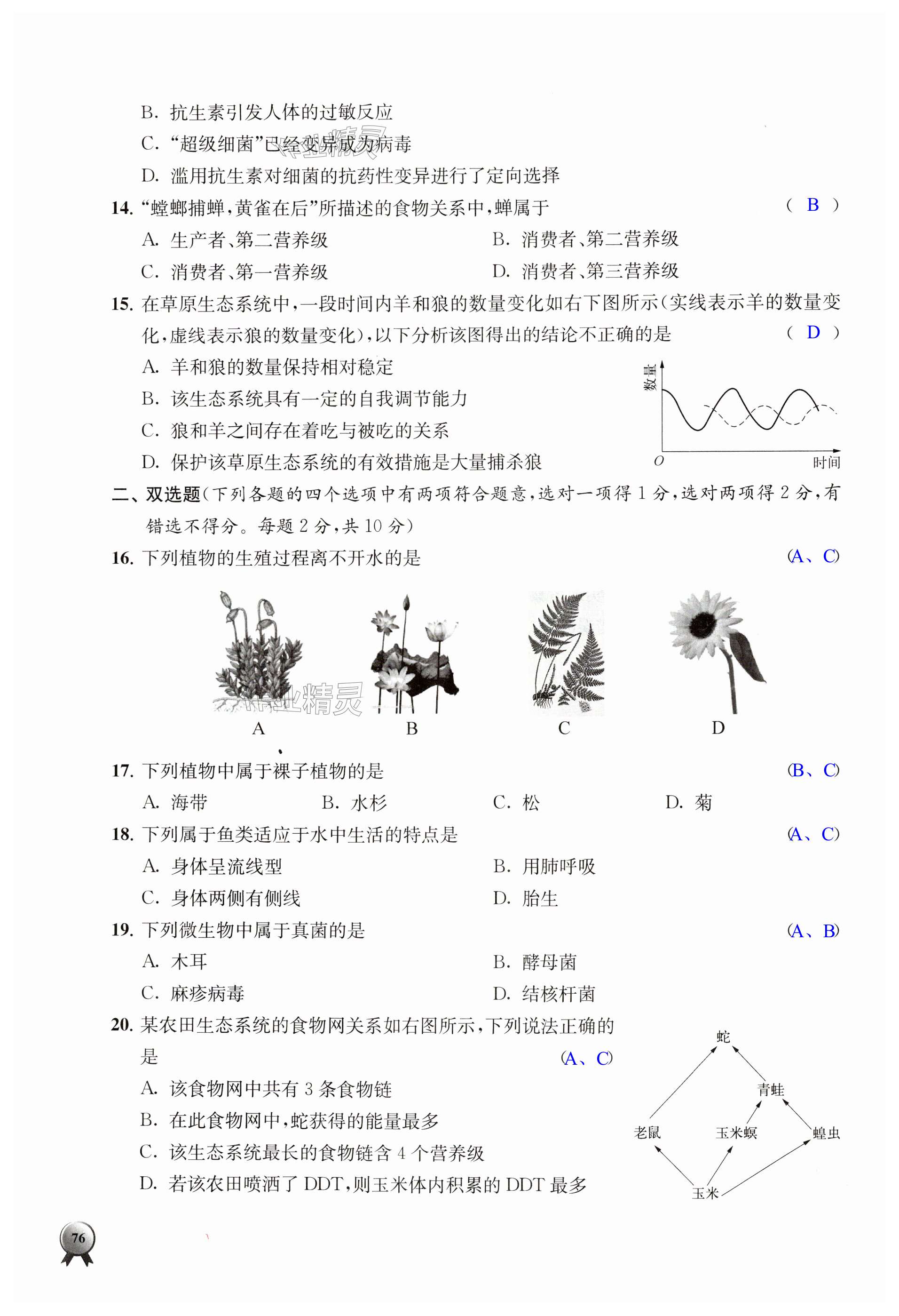 第76页