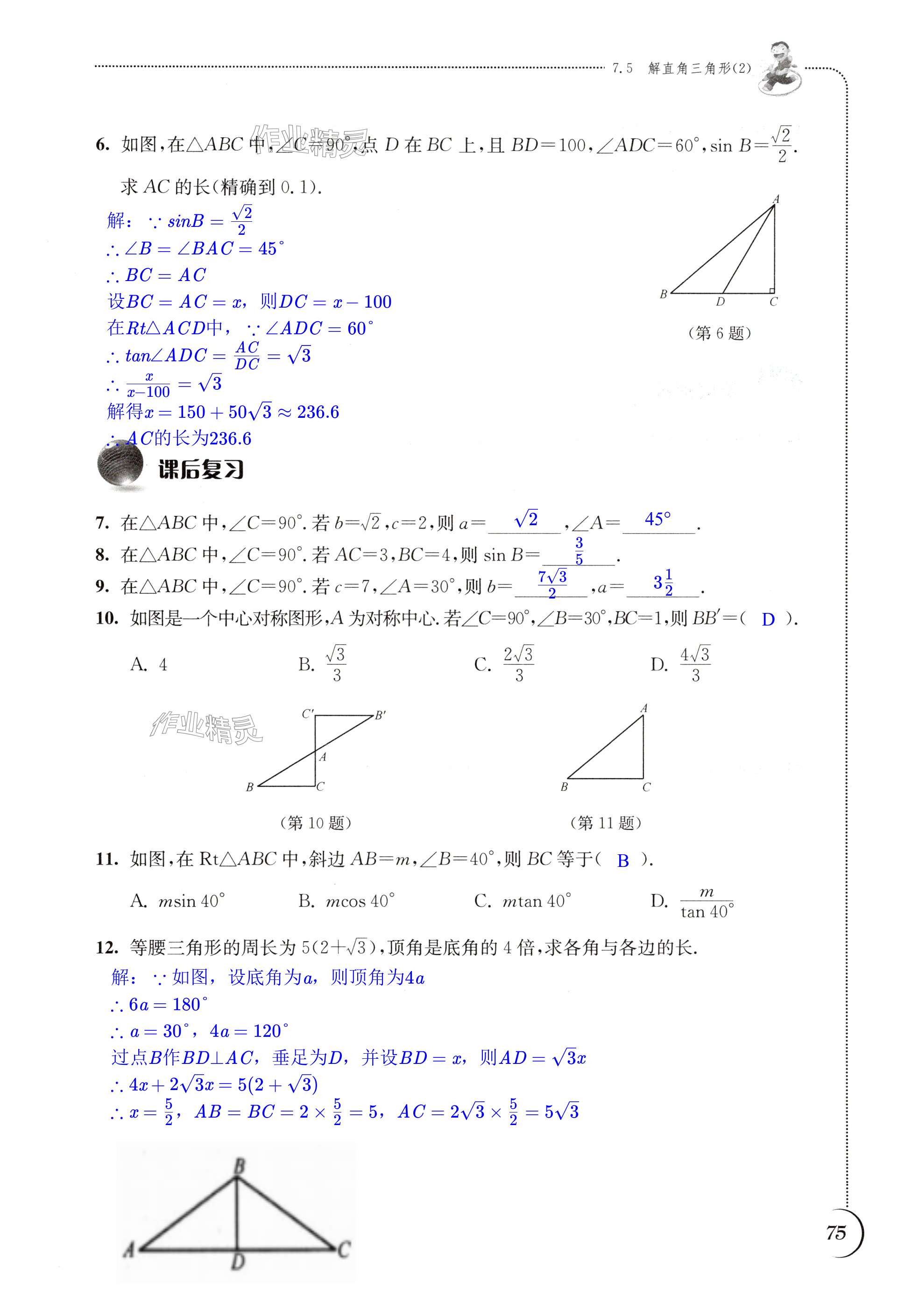 第75页