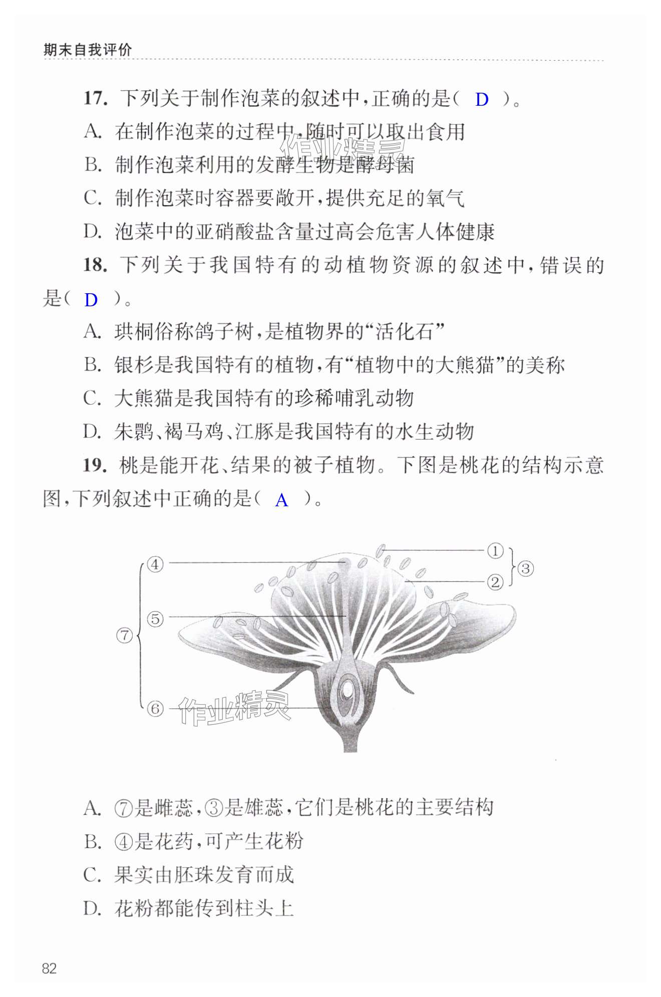 第82页