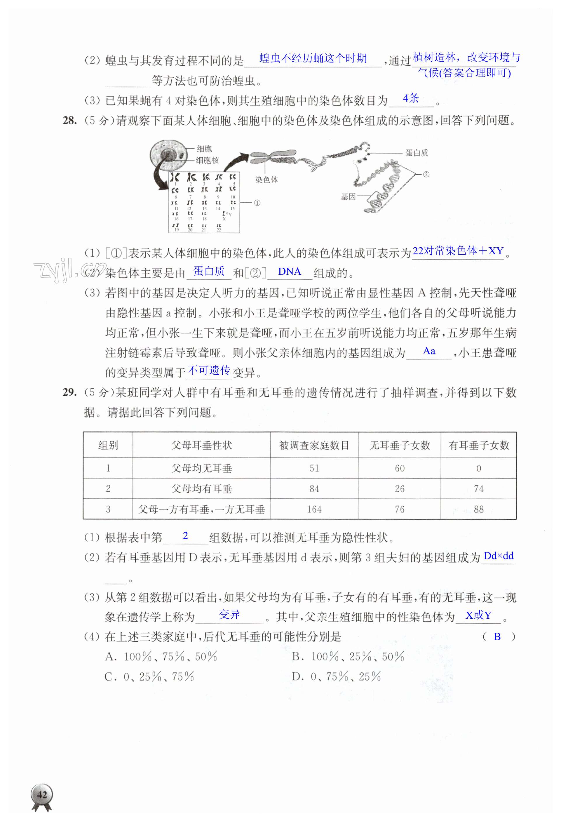 第42页