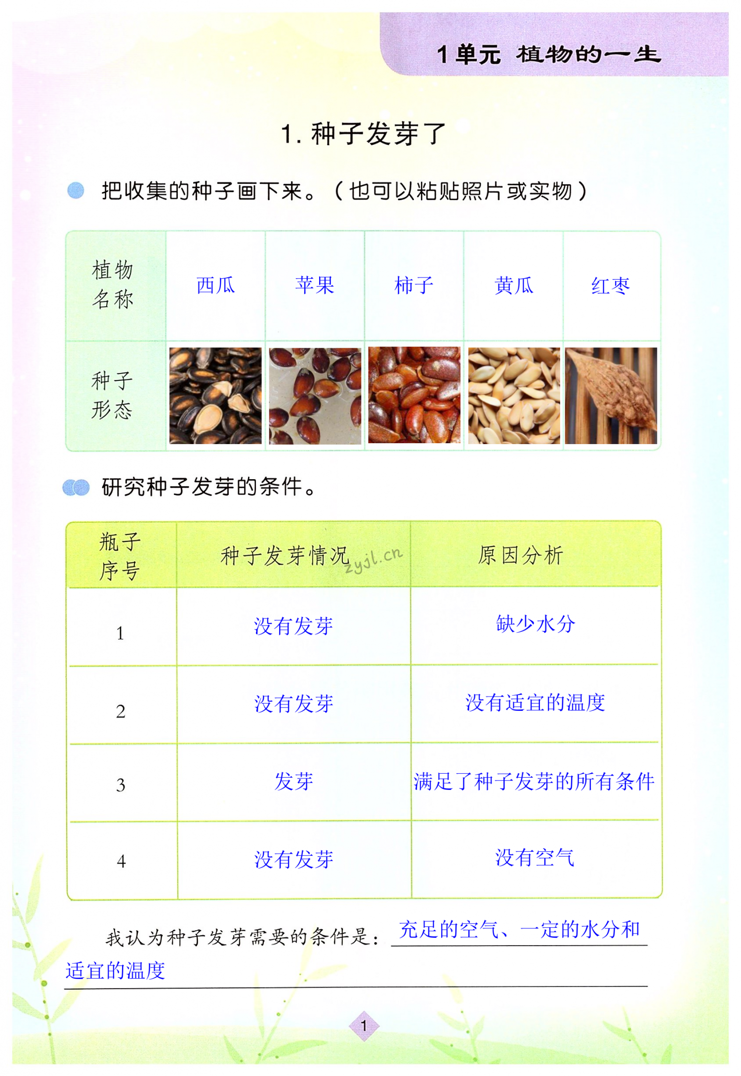 2022年科学学生活动手册三年级下册苏教版 第1页