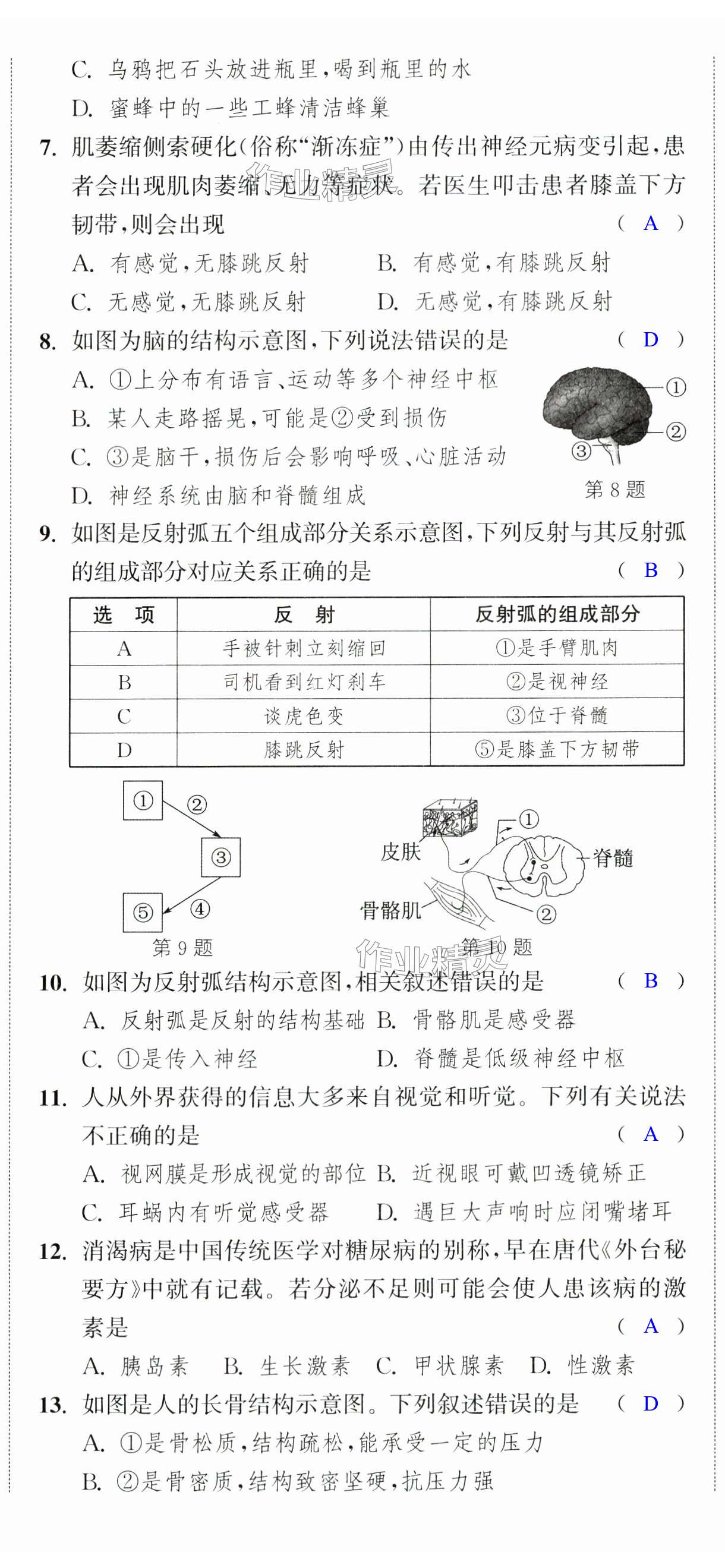 第32页