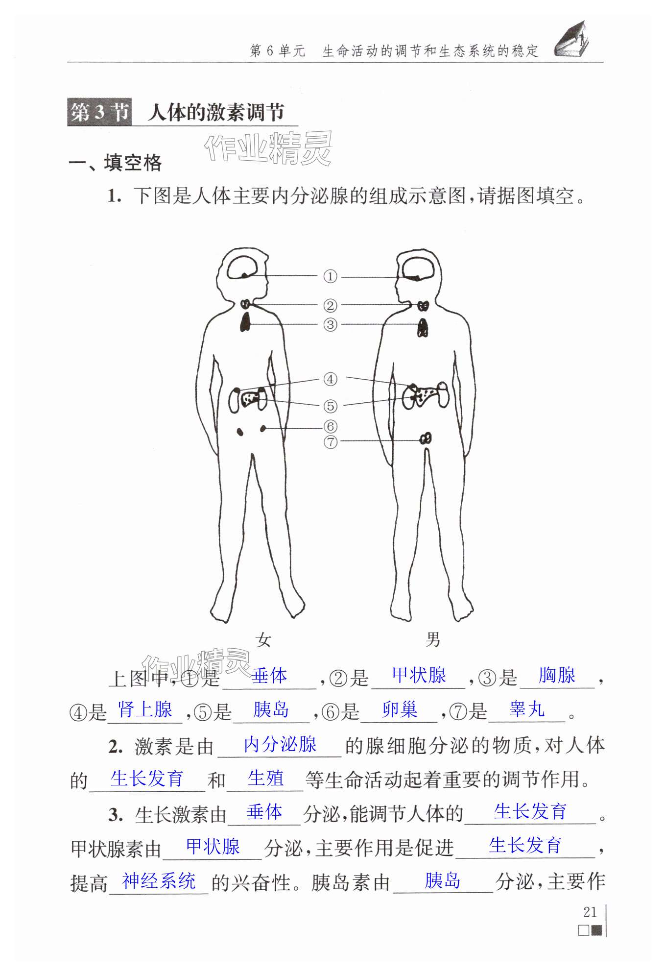 第21页