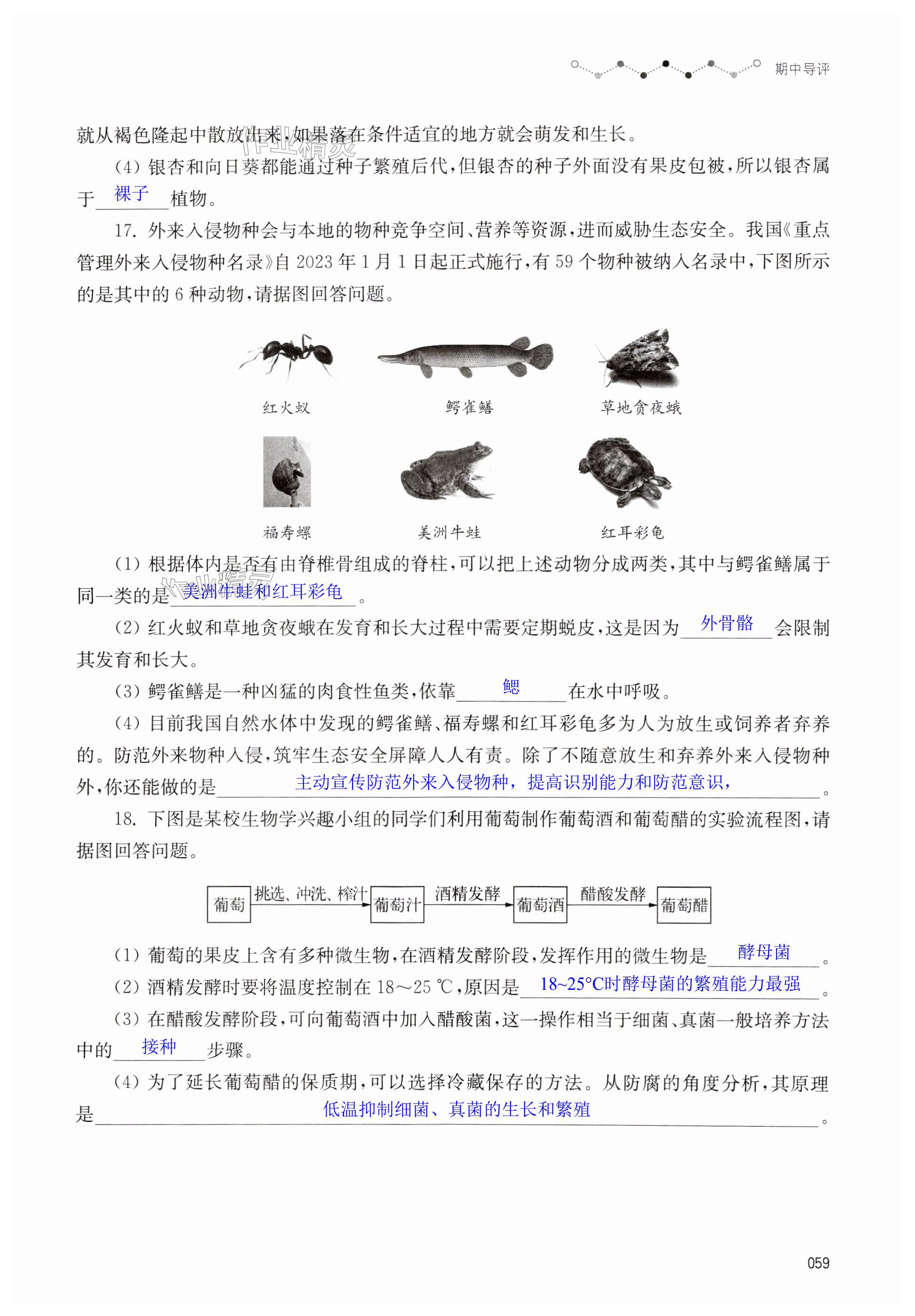 第59页