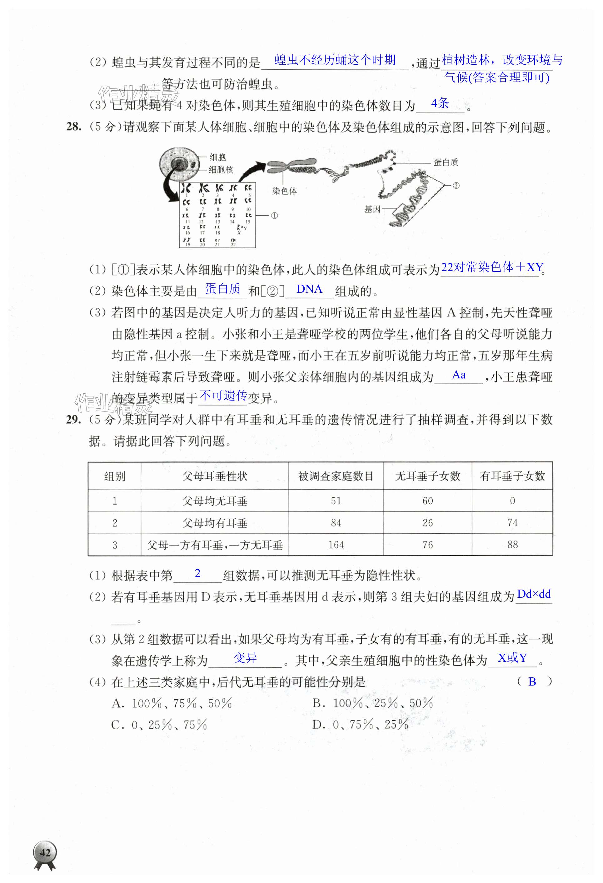 第42页