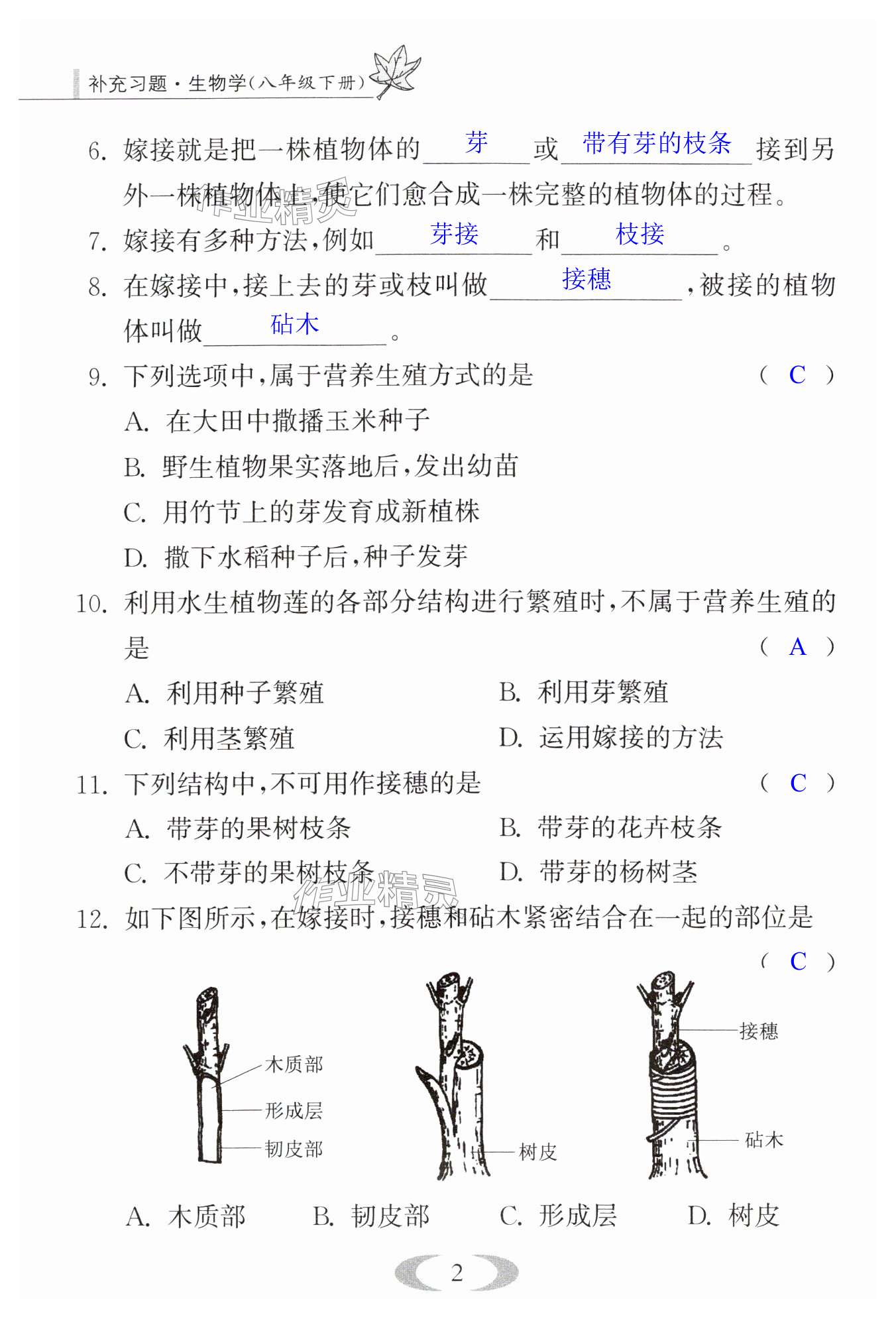 第2页