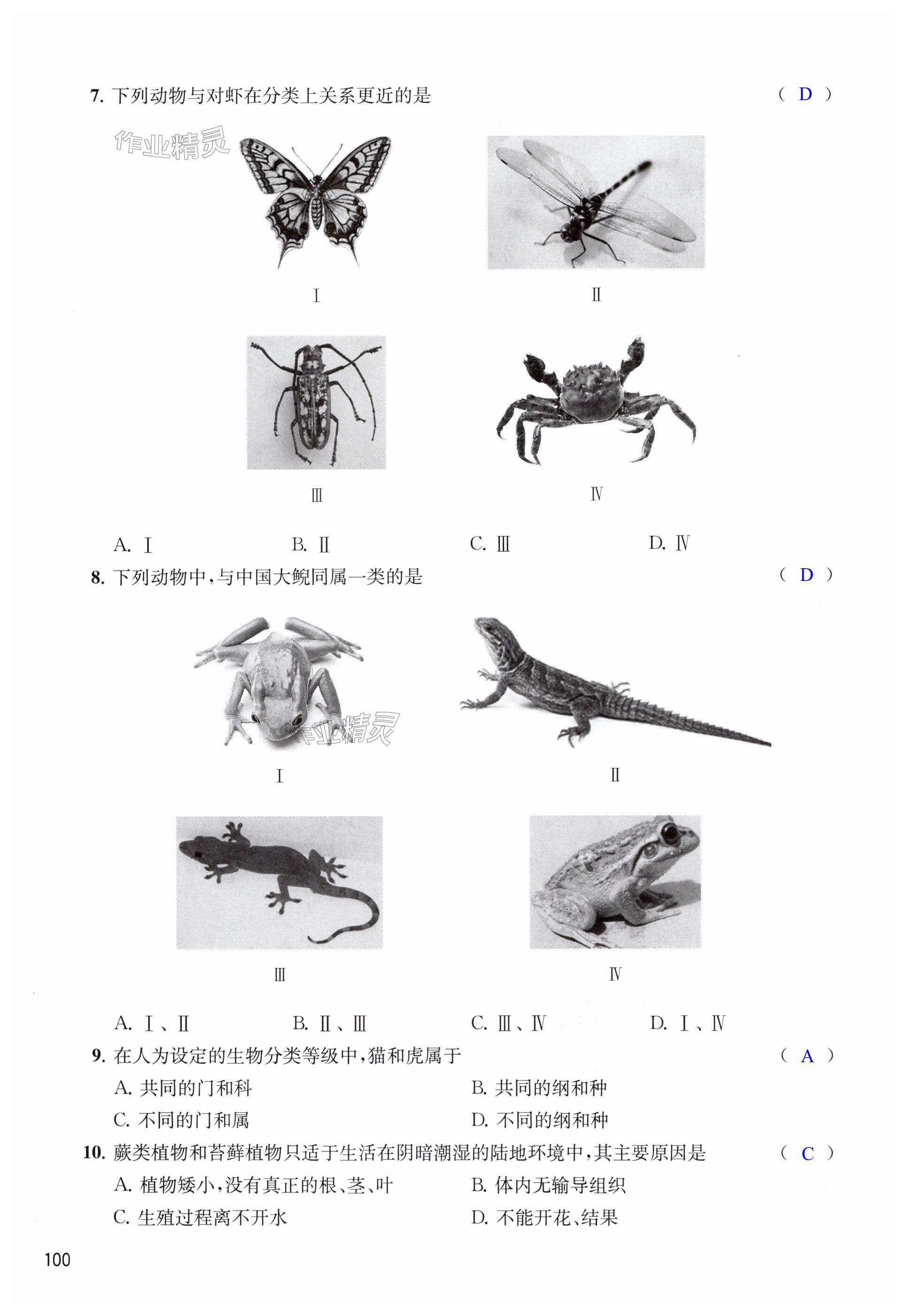 第100页