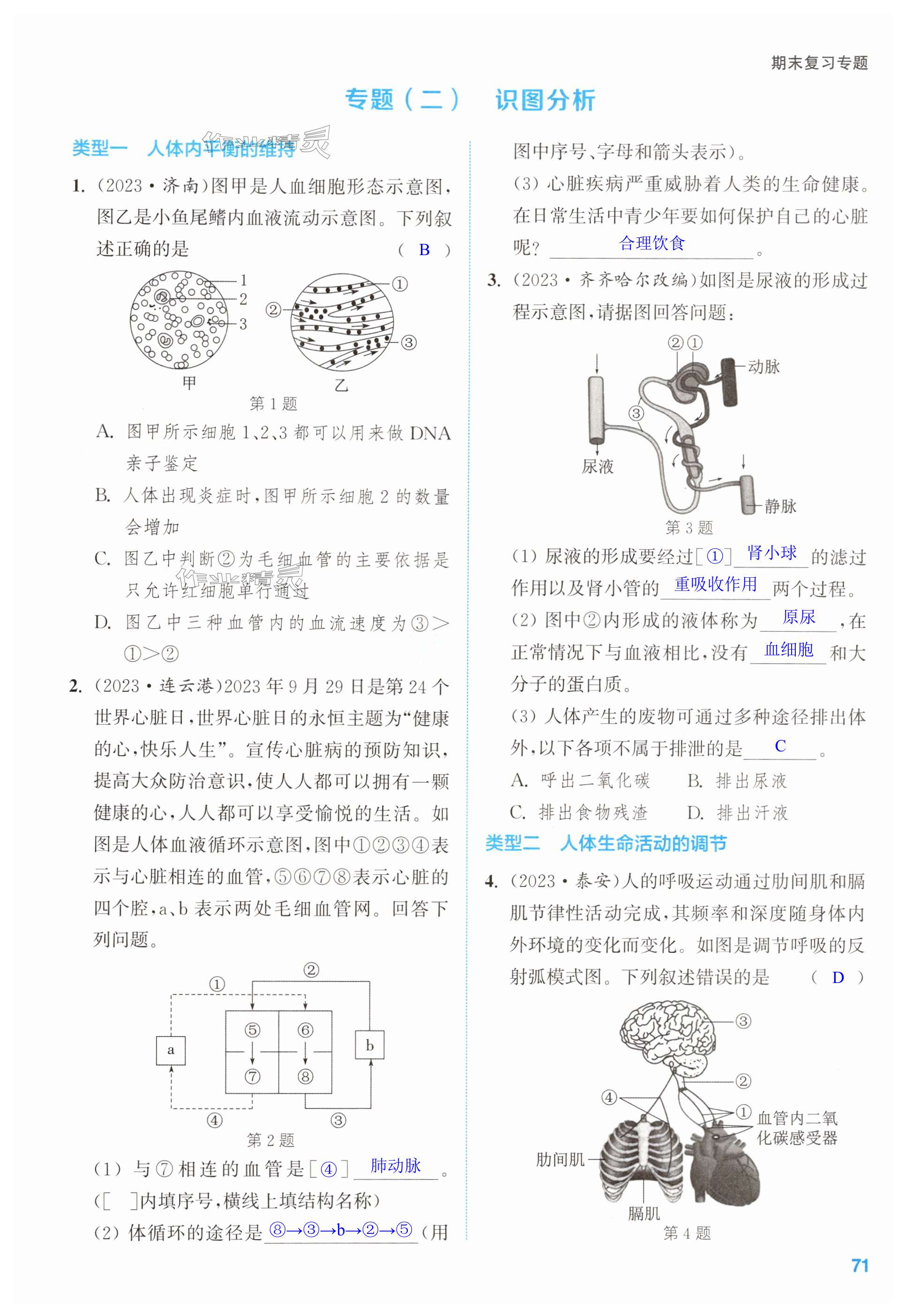 第71页