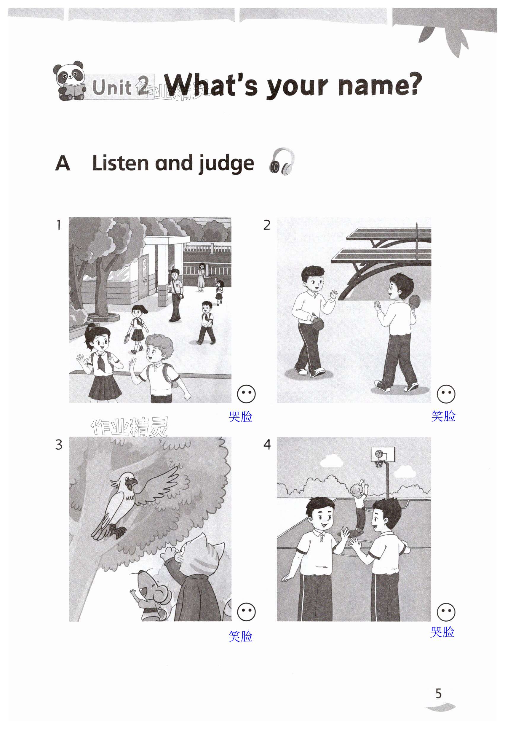 第5页