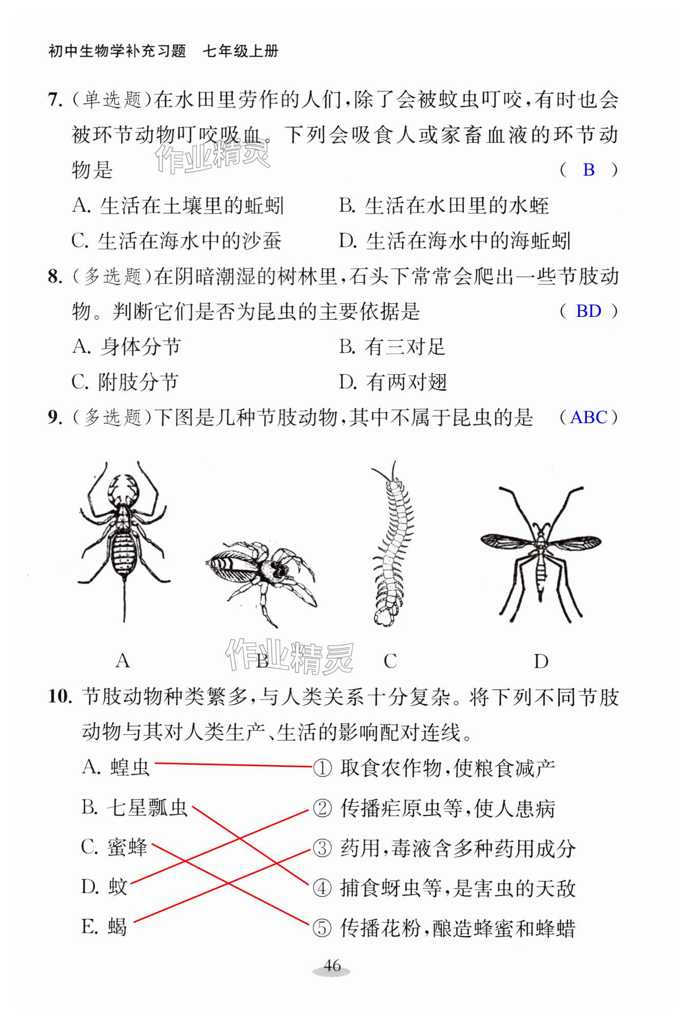 第46页