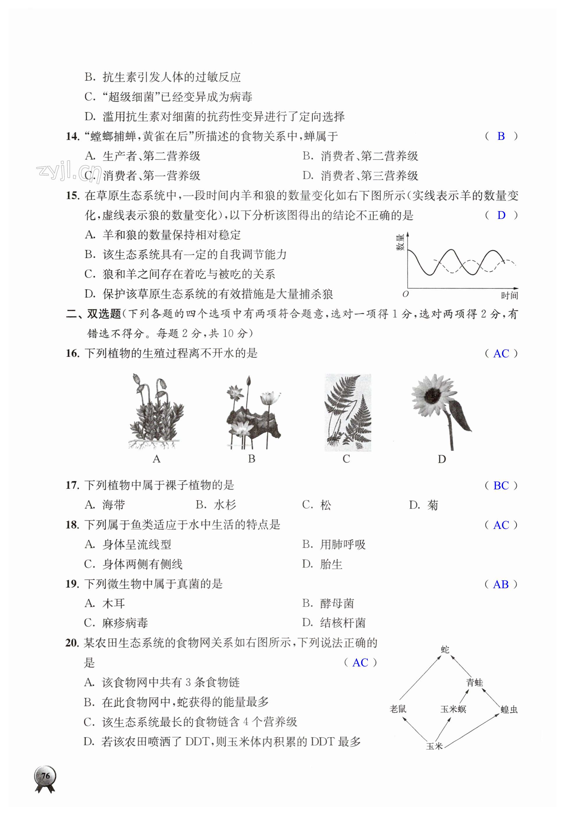 第76页