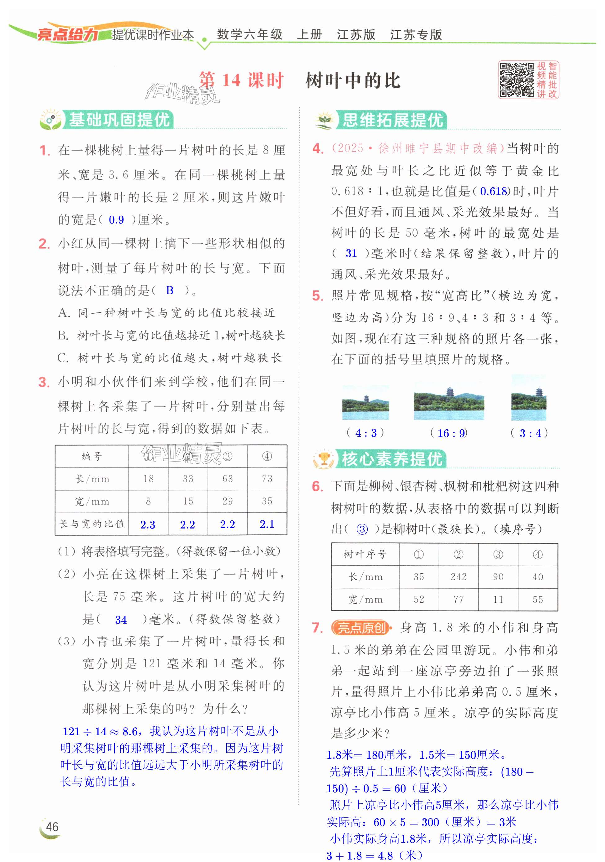 第46页