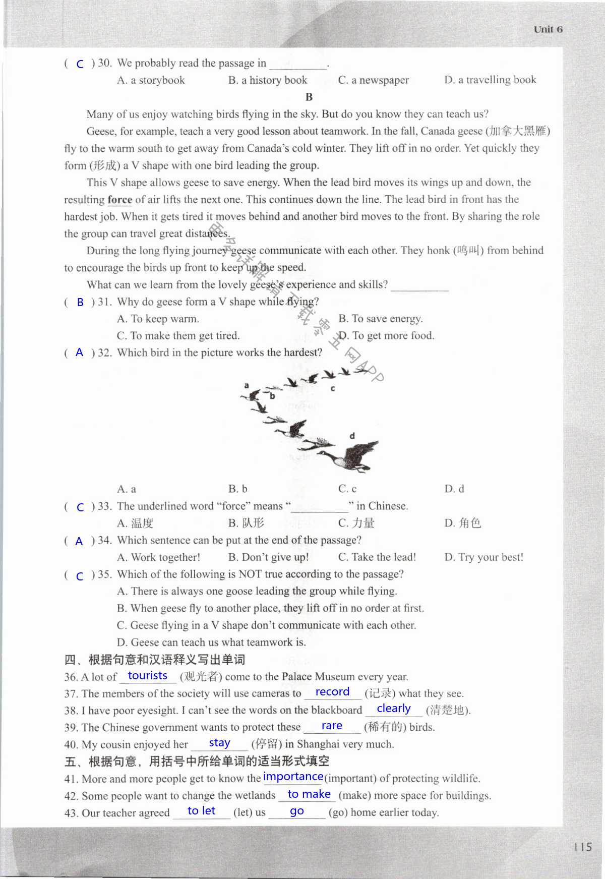 Unit 6 Birdwatching - 第115页
