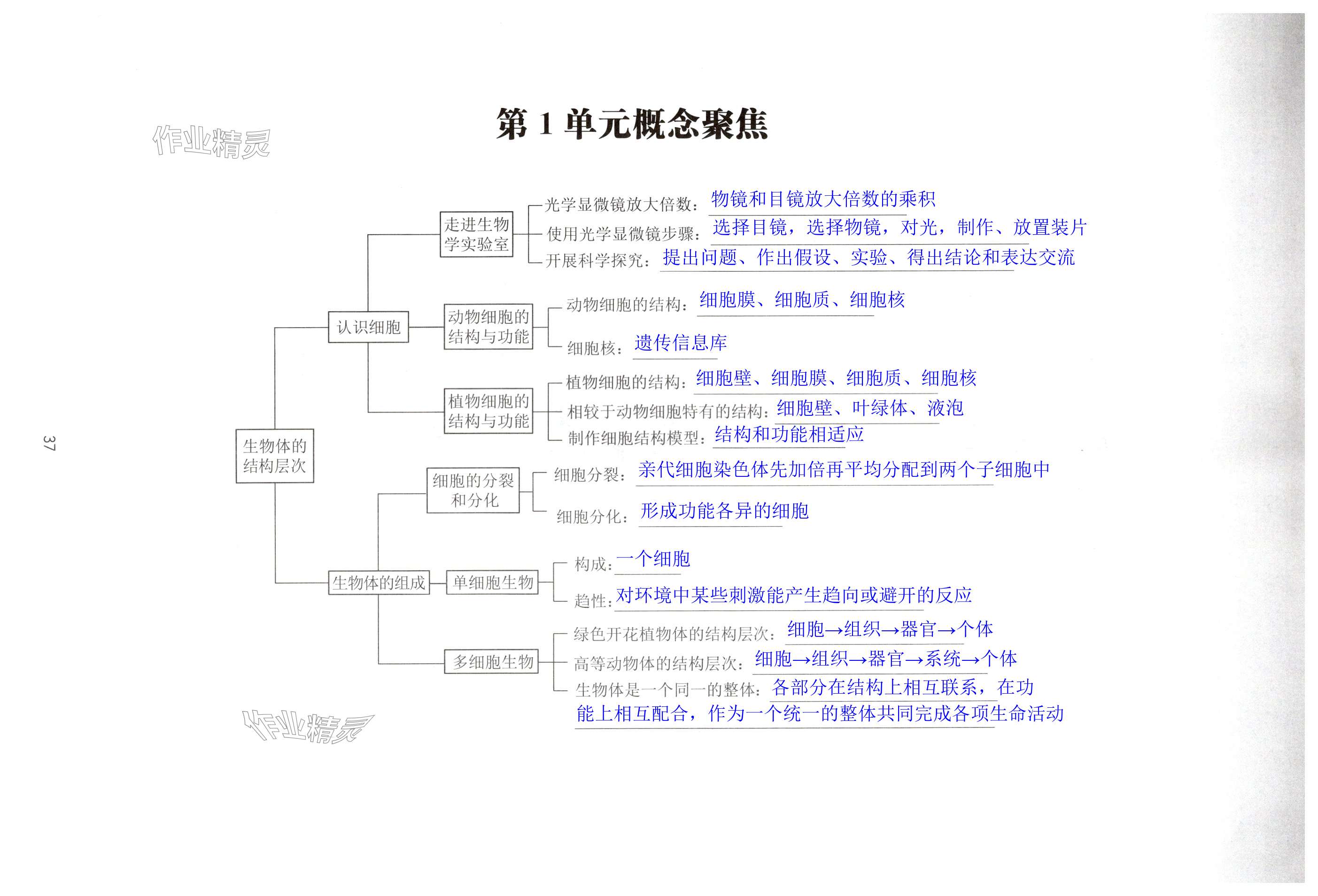 第37页