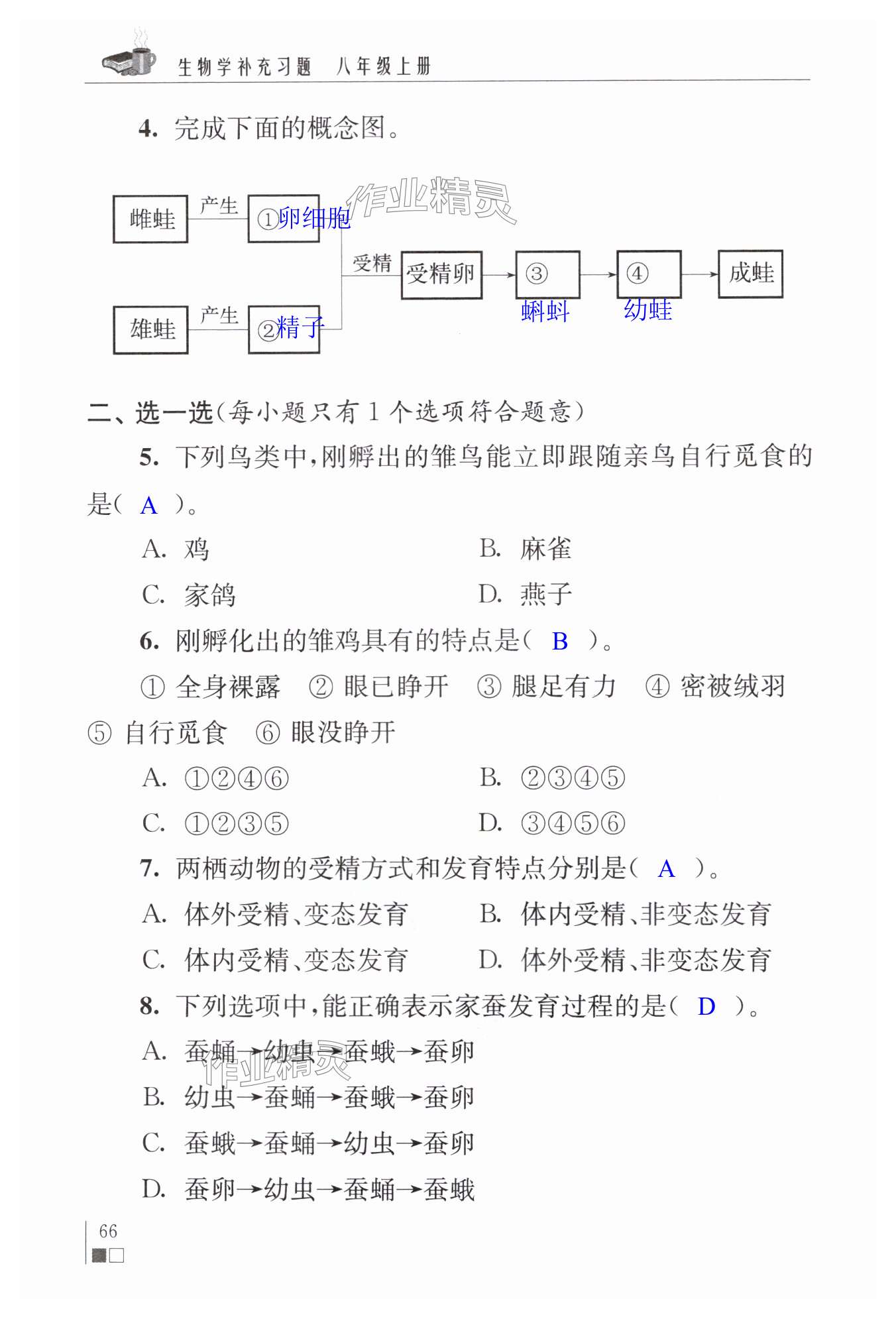 第66页