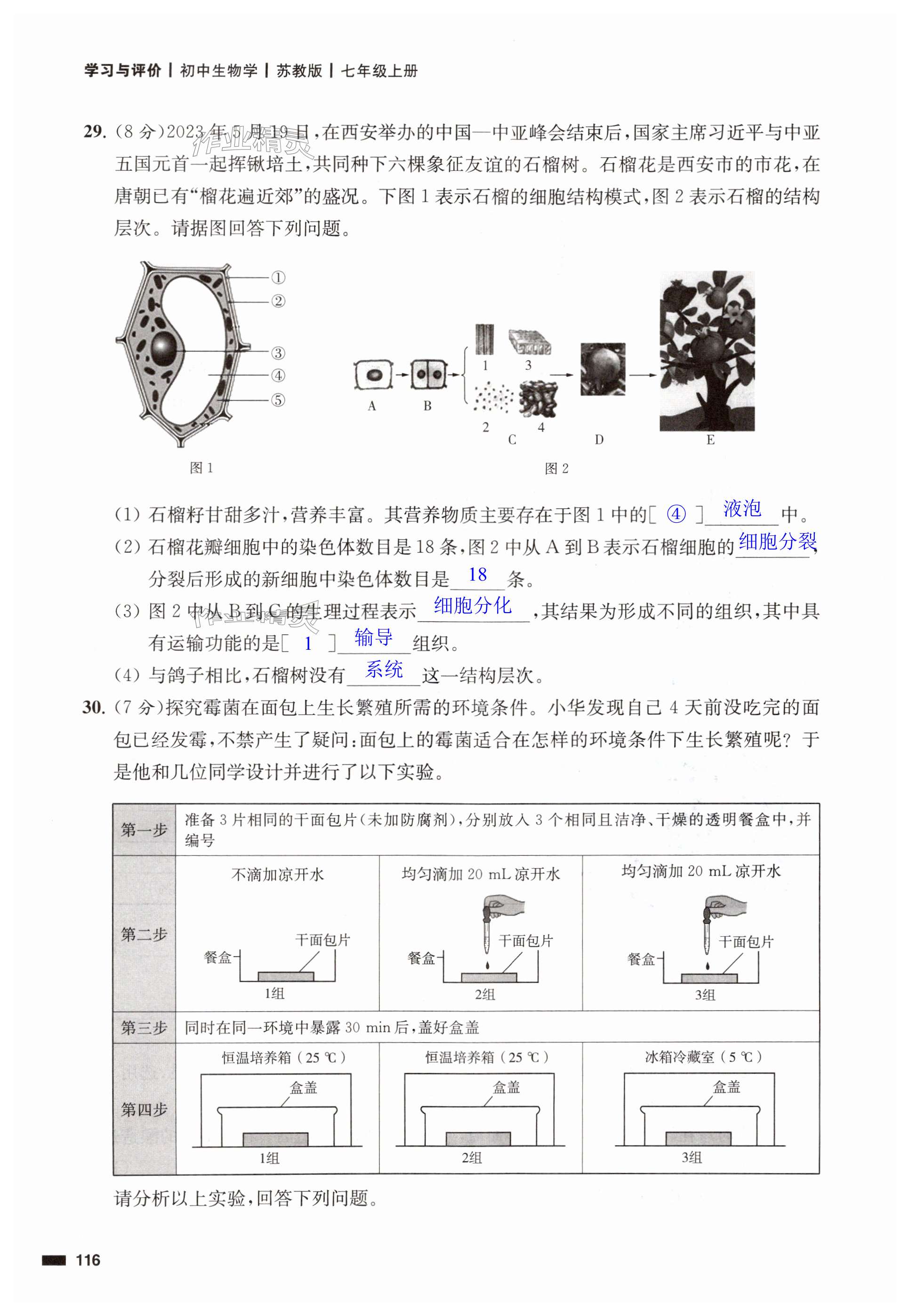 第116页