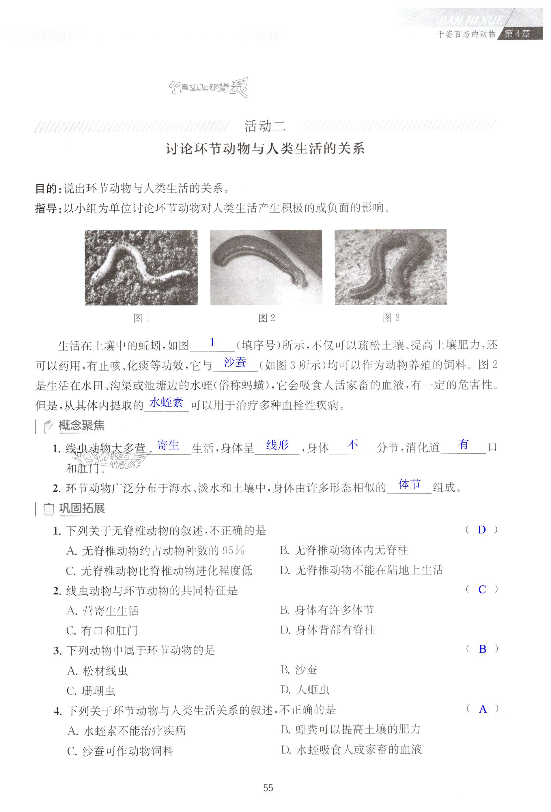 第55页