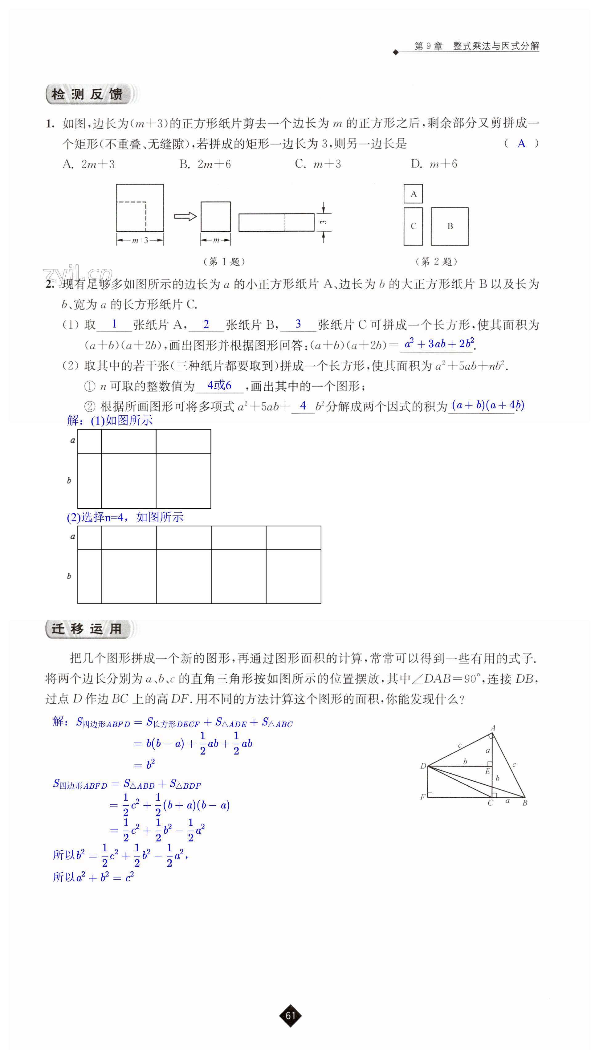 第61页